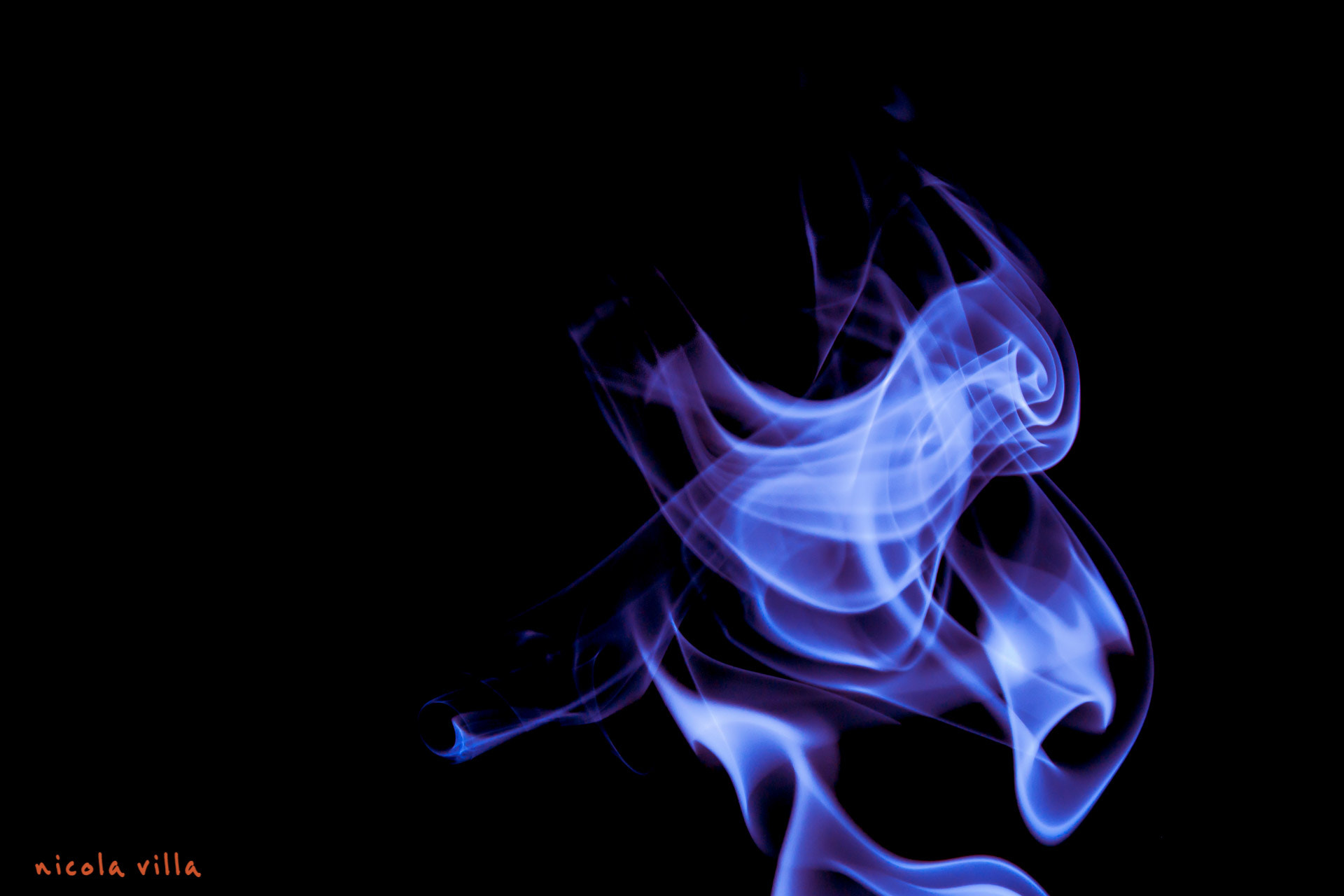Sigma 18-250mm F3.5-6.3 DC OS HSM sample photo. Smoke bird photography