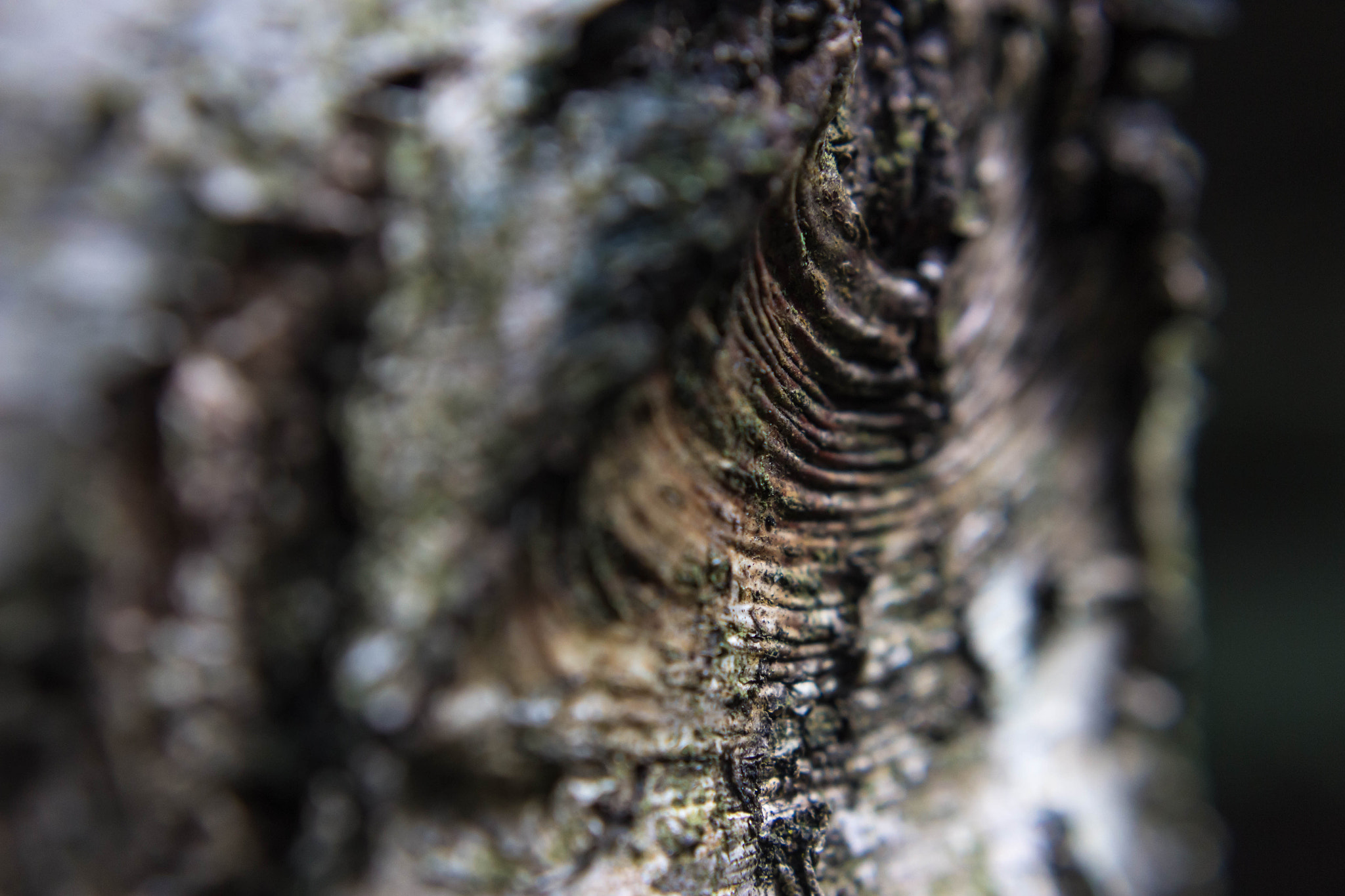 Canon EF 28mm F2.8 IS USM sample photo. The wave photography