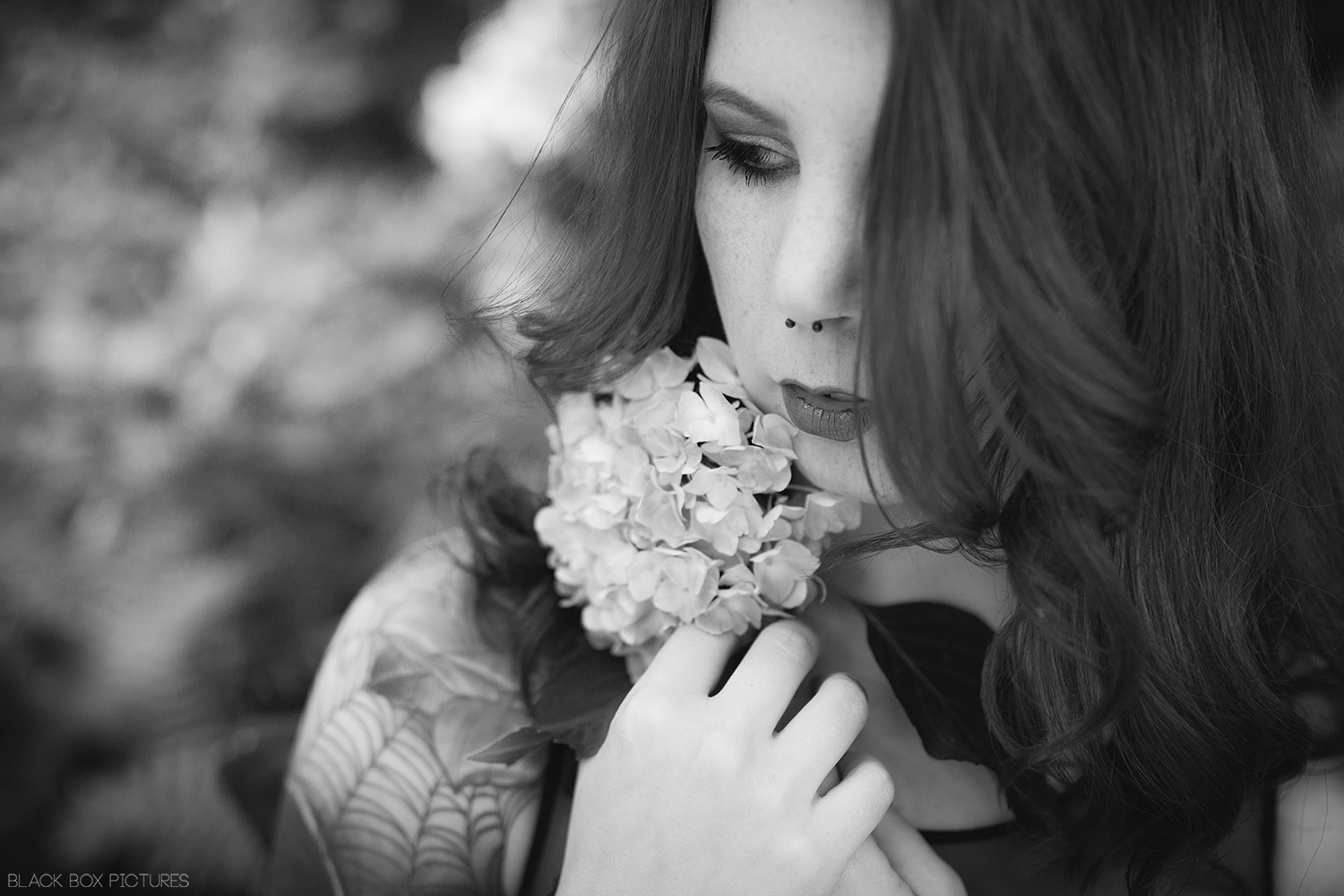 Pentax K-3 + Sigma 35mm F1.4 DG HSM Art sample photo. White flower... photography