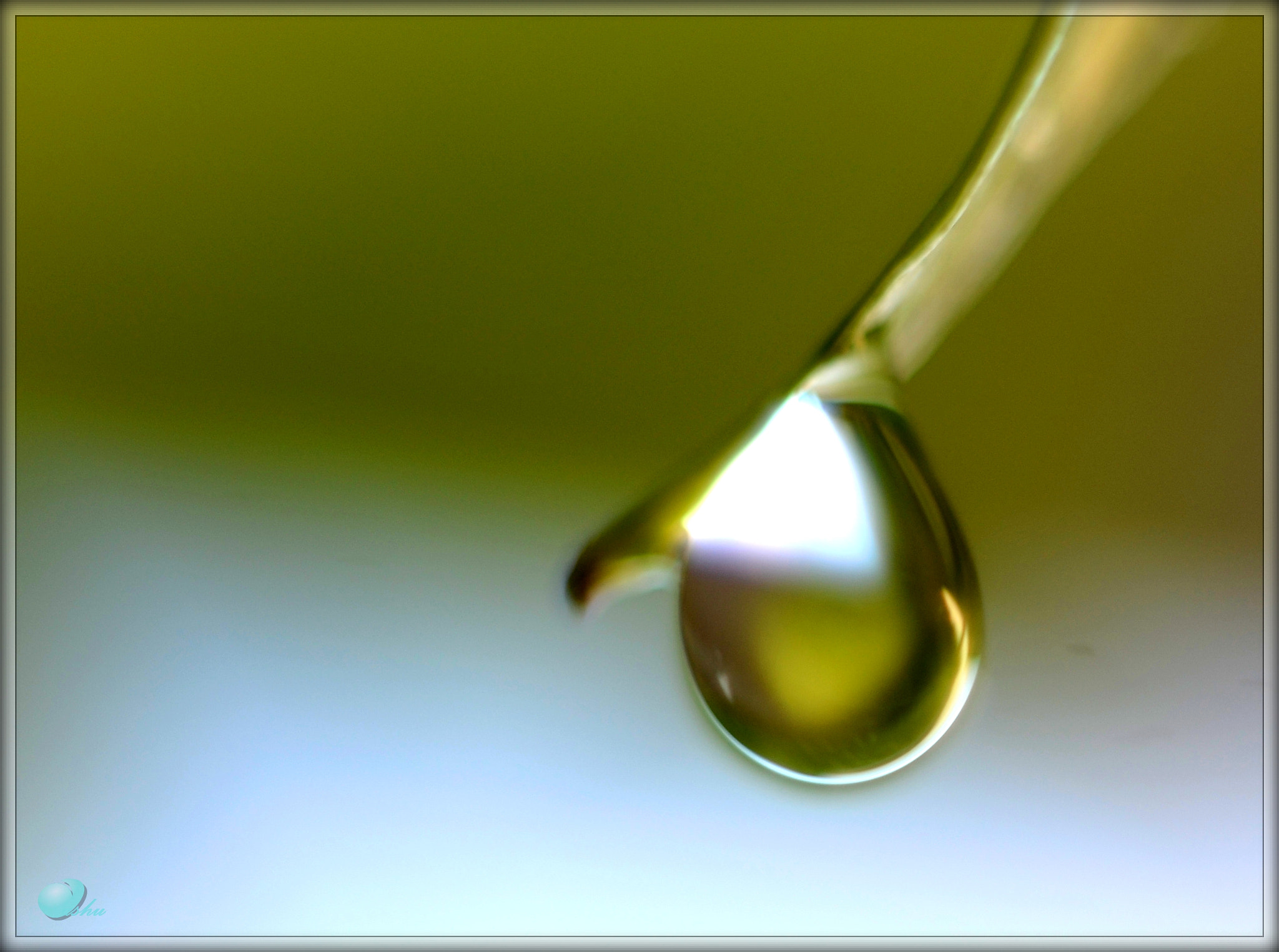 Manual Lens No CPU sample photo. A photography