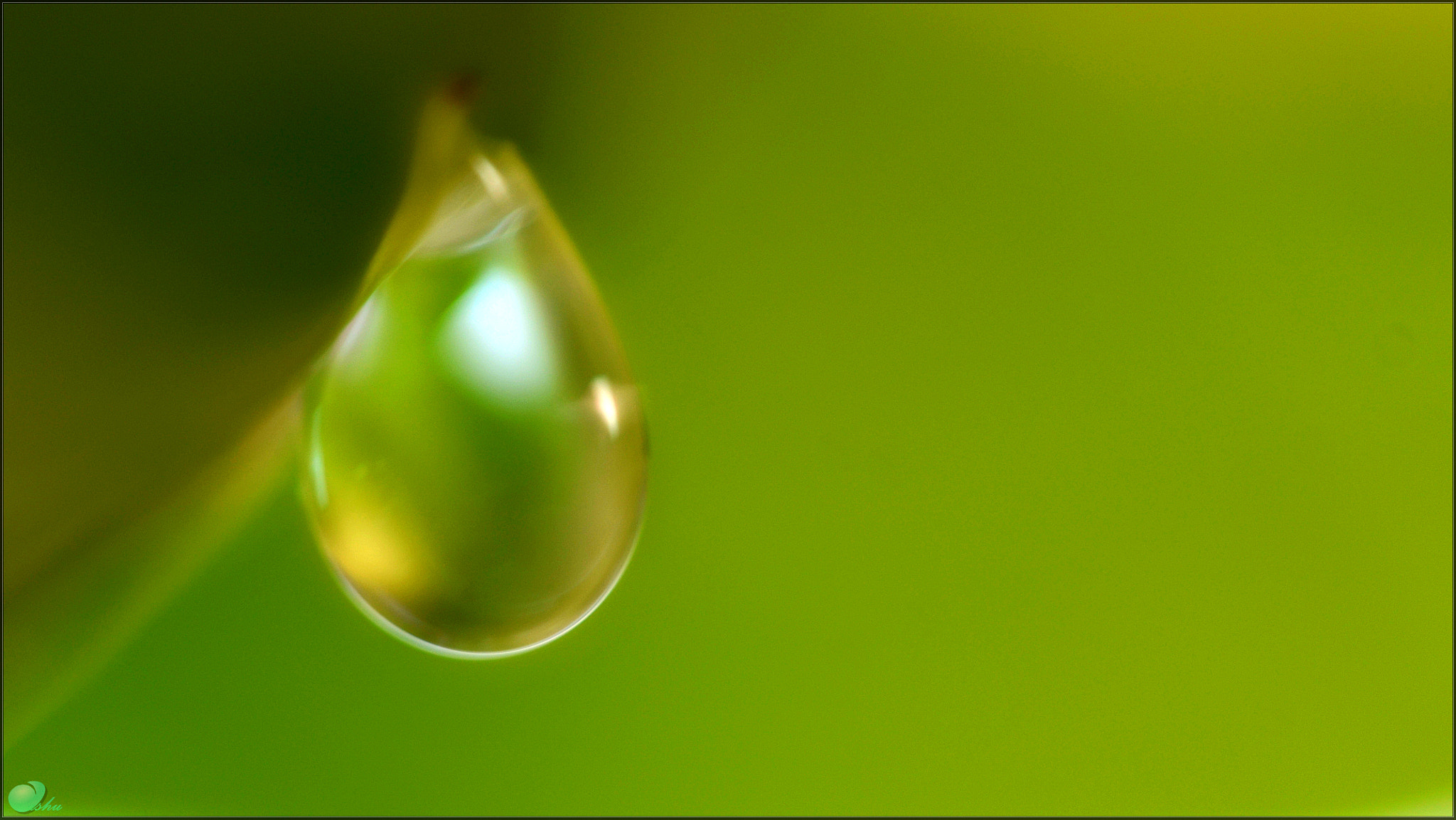 Manual Lens No CPU sample photo. Jpg photography