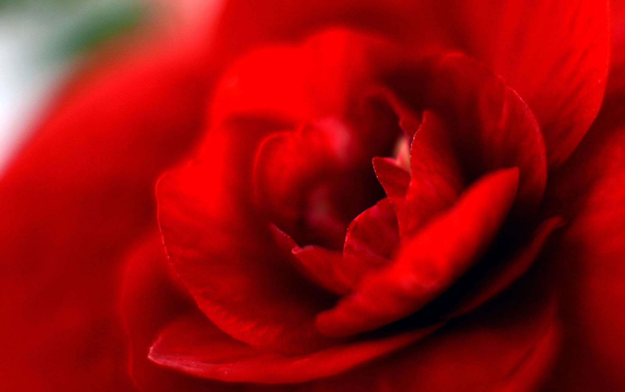 Manual Lens No CPU sample photo. Jpg photography