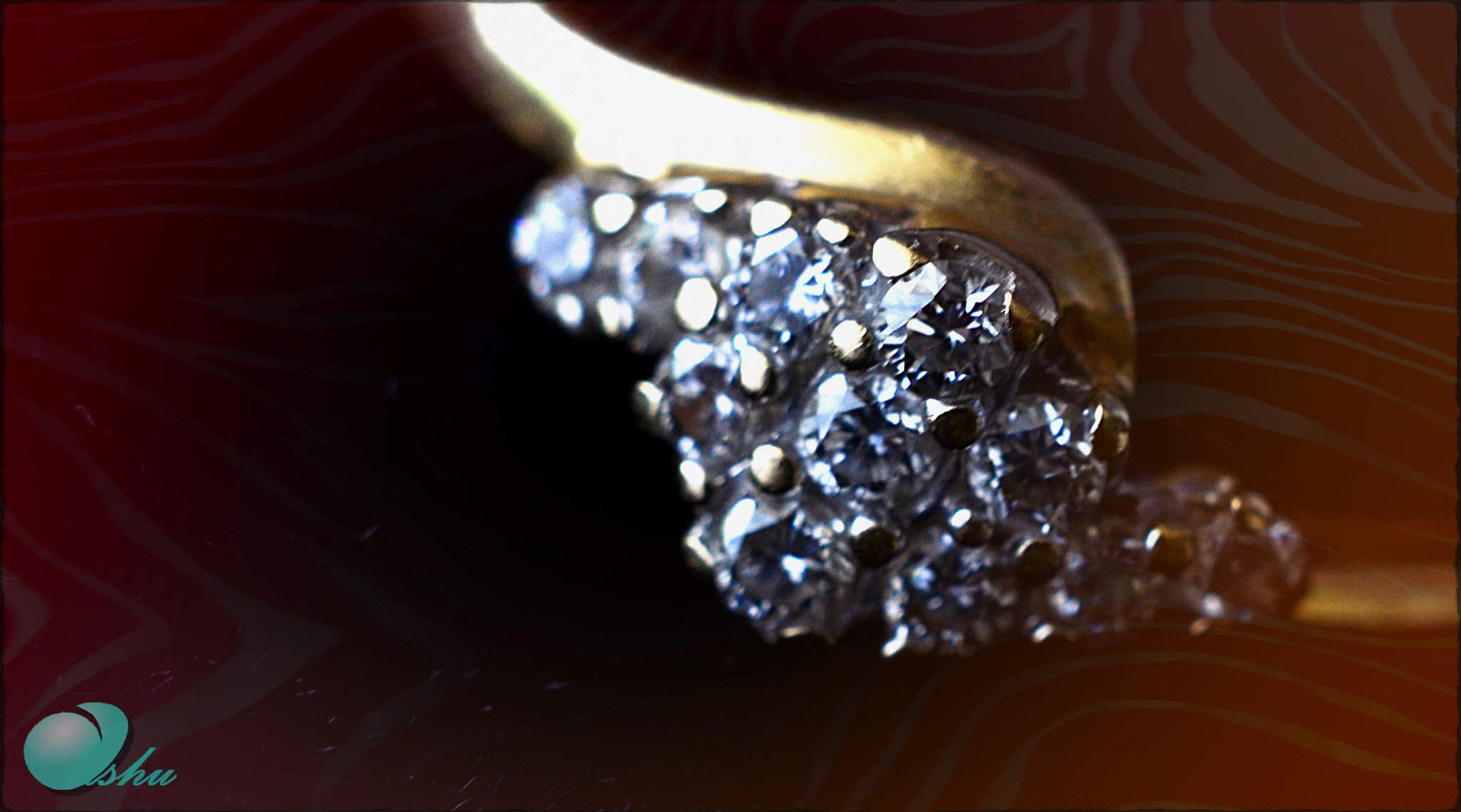Manual Lens No CPU sample photo. Ring photography