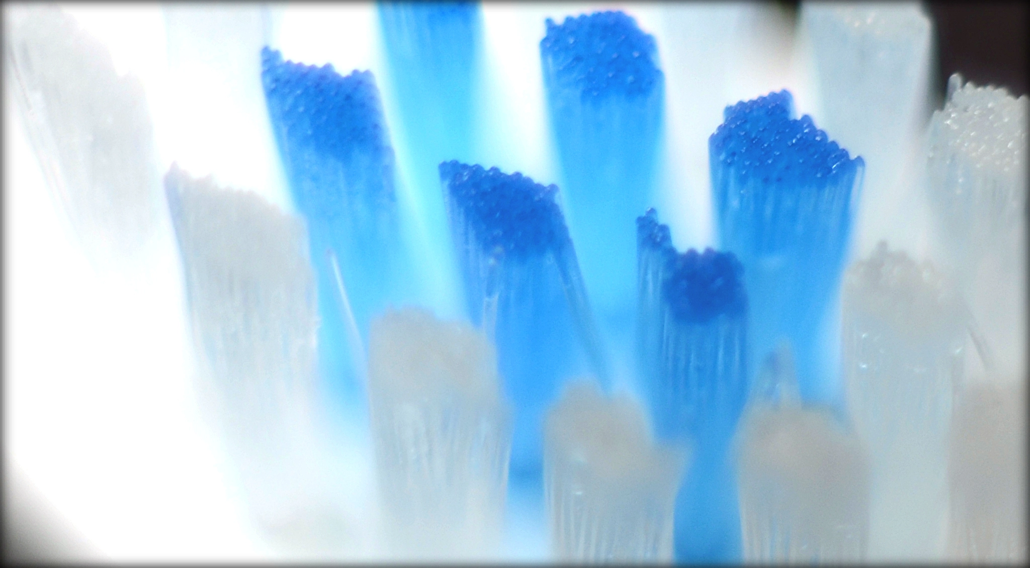 Manual Lens No CPU sample photo. Jpg photography