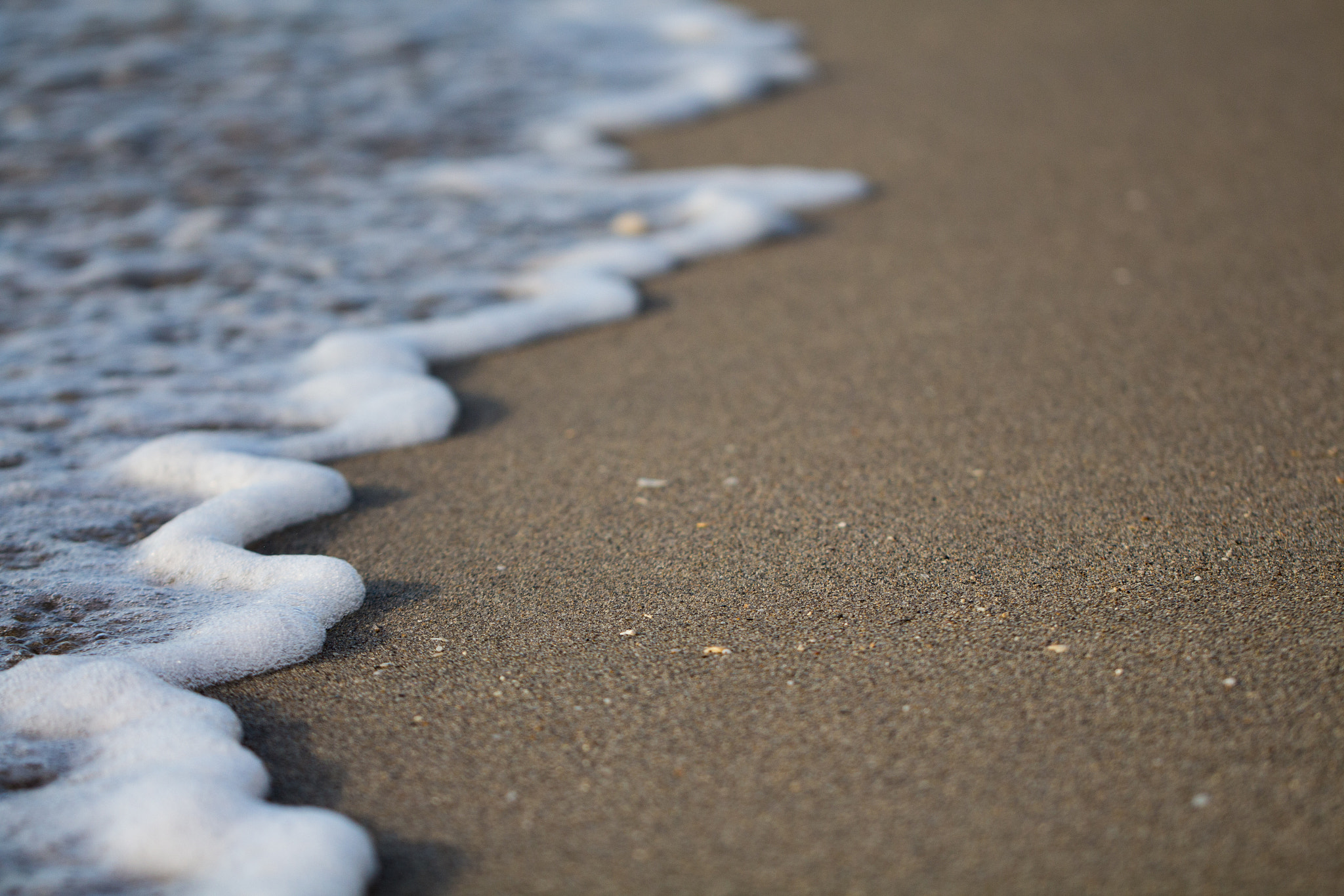 Canon EF 100mm F2.8L Macro IS USM sample photo. Sea foam photography