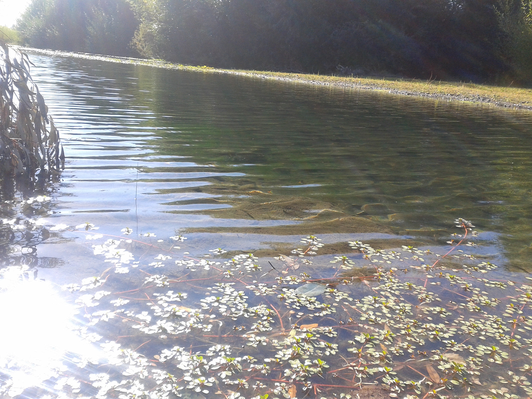 Samsung Galaxy Win sample photo. Nature♥ photography