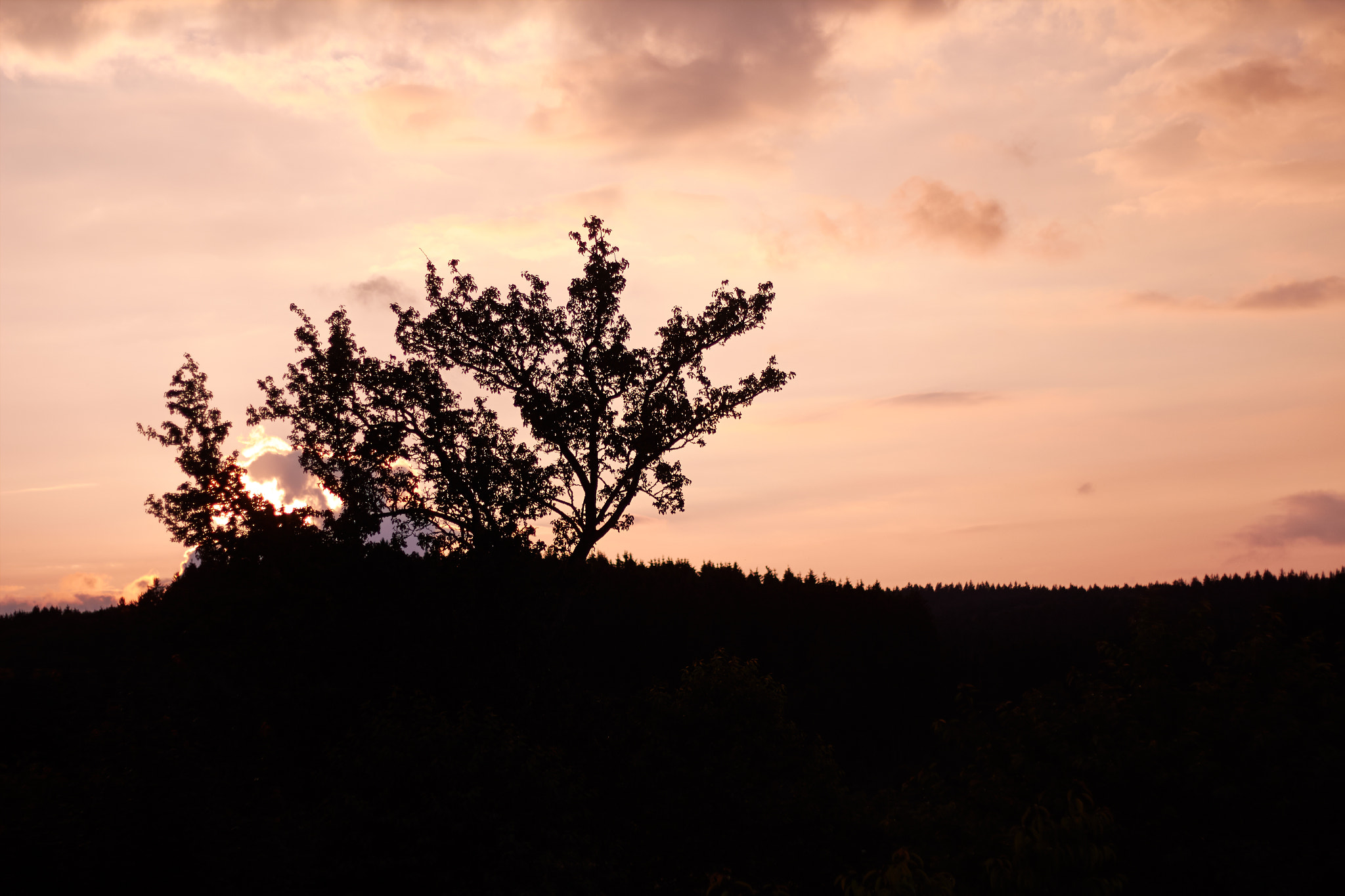 Canon EOS 650D (EOS Rebel T4i / EOS Kiss X6i) + Canon EF 50mm F1.8 II sample photo. Sunset photography