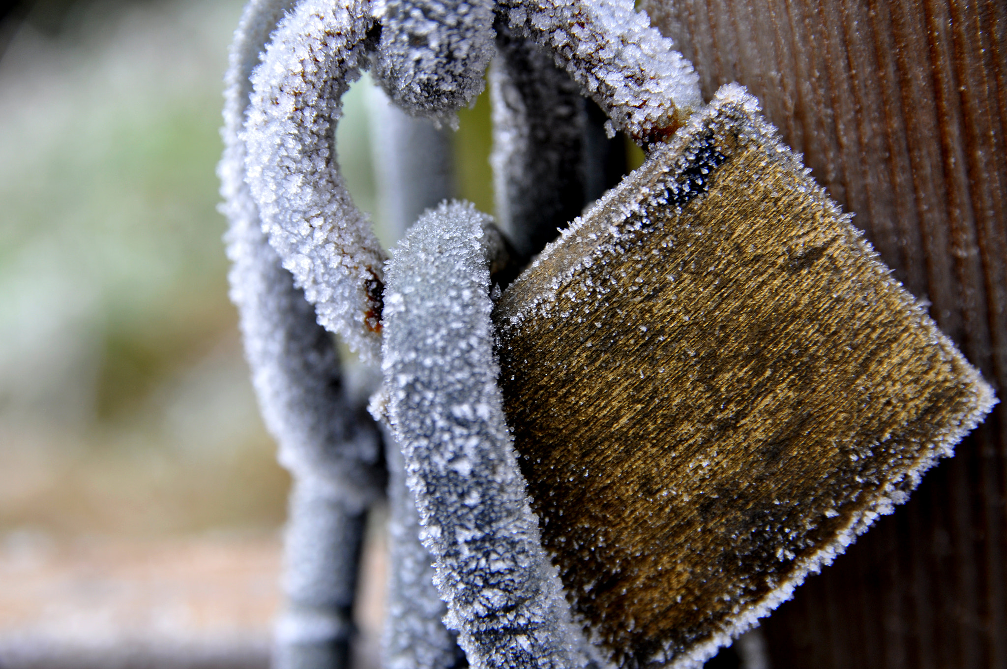 Sigma 17-70mm F2.8-4 DC Macro OS HSM | C sample photo. Frosted lock photography