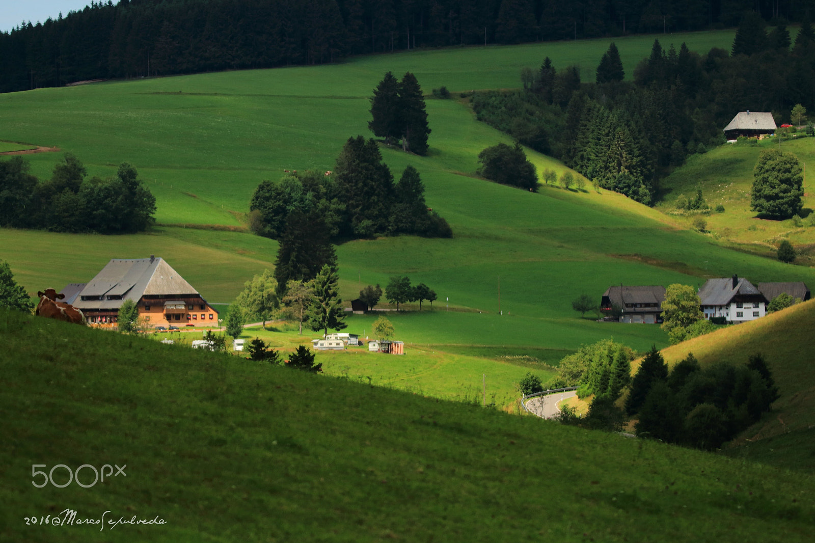 Tamron SP 150-600mm F5-6.3 Di VC USD sample photo. Schwarzwald/ black forest, germany photography