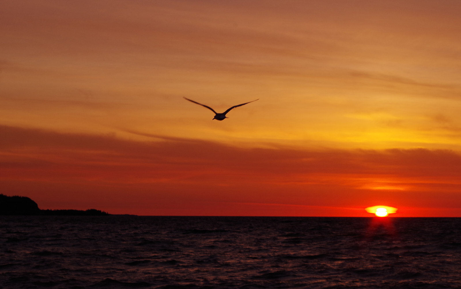 Pentax smc DA 18-55mm F3.5-5.6 ED AL II (IF) sample photo. Morning silhouette photography