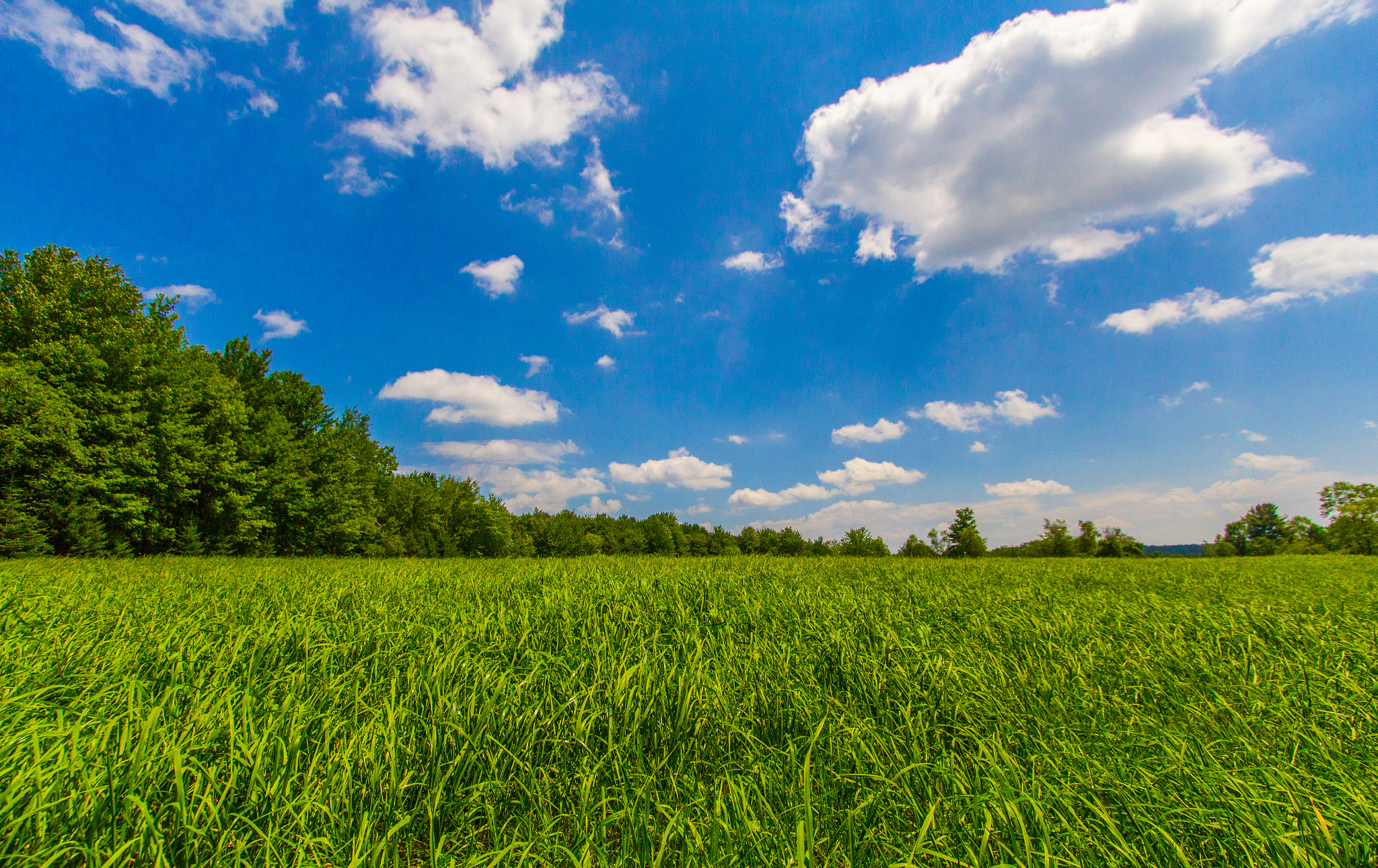 Canon EF-S 10-22mm F3.5-4.5 USM sample photo. Blue sky over a green field photography