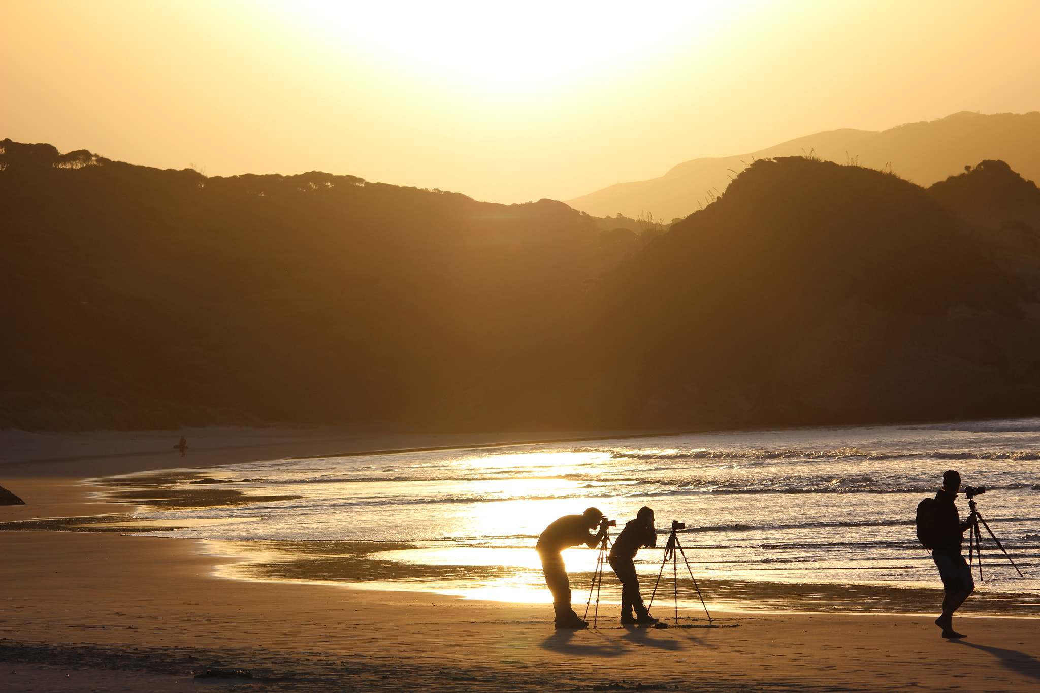 Sigma 150-500mm F5-6.3 DG OS HSM sample photo. Shared passion photography