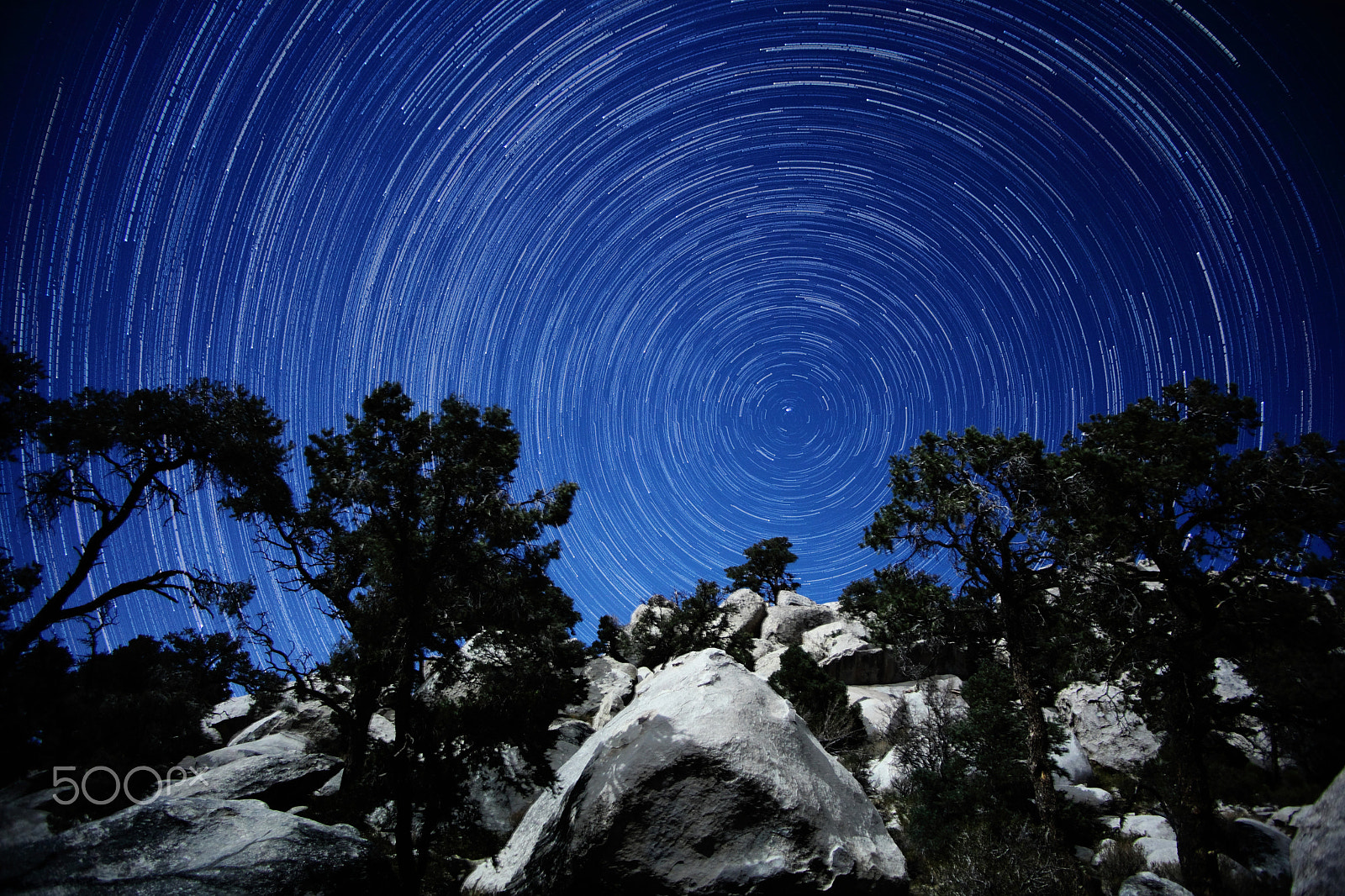 Canon EOS 5D Mark II + Tamron AF 19-35mm f/3.5-4.5 sample photo. The stars move around the north star photography