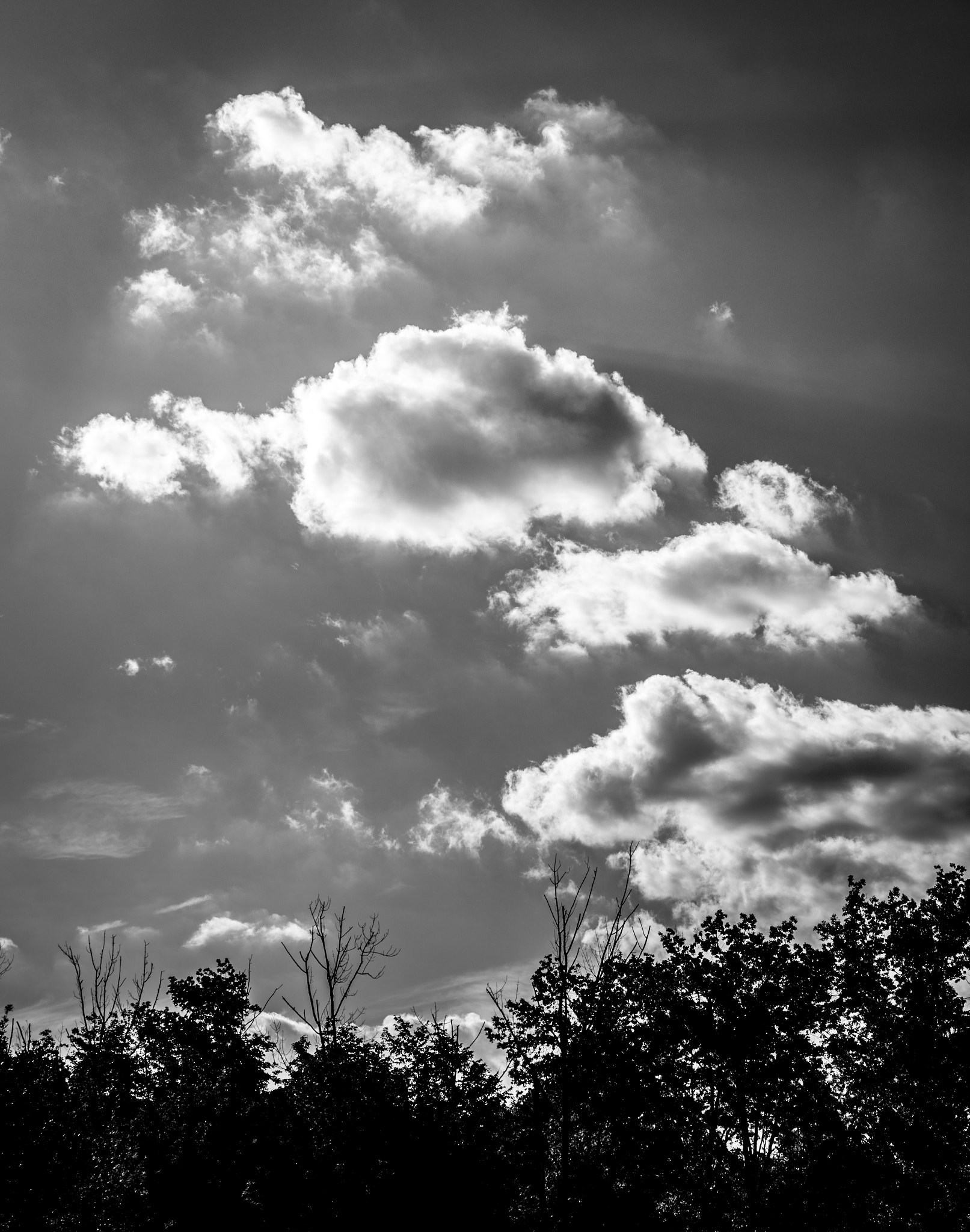 Sigma 50-500mm F4.5-6.3 DG OS HSM sample photo. Clouds on a summer day, middletown, new york photography