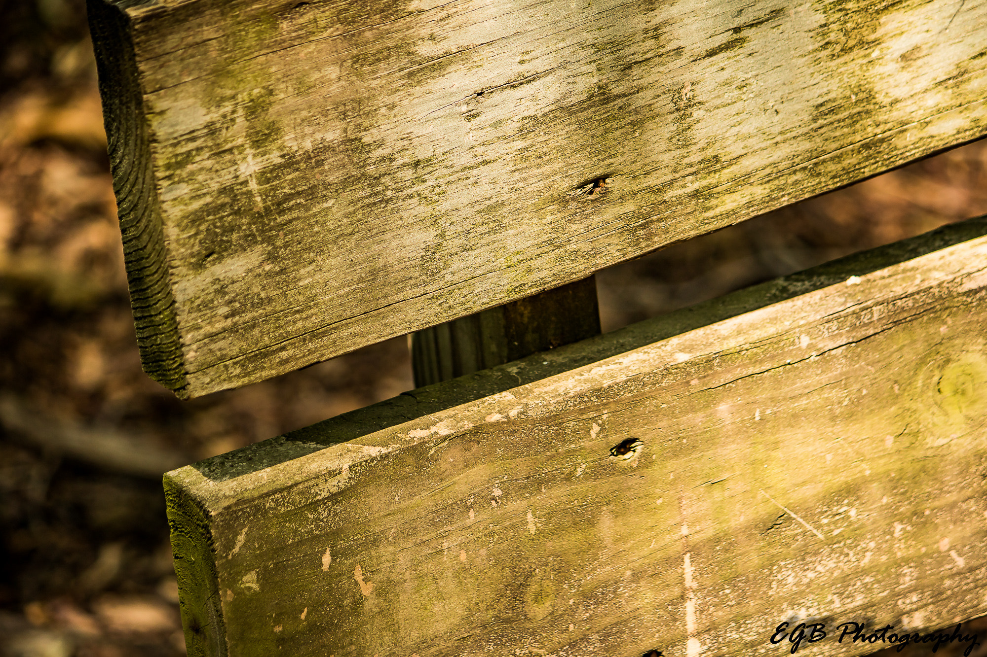Canon EF-S 55-250mm F4-5.6 IS sample photo. A lonely bench photography