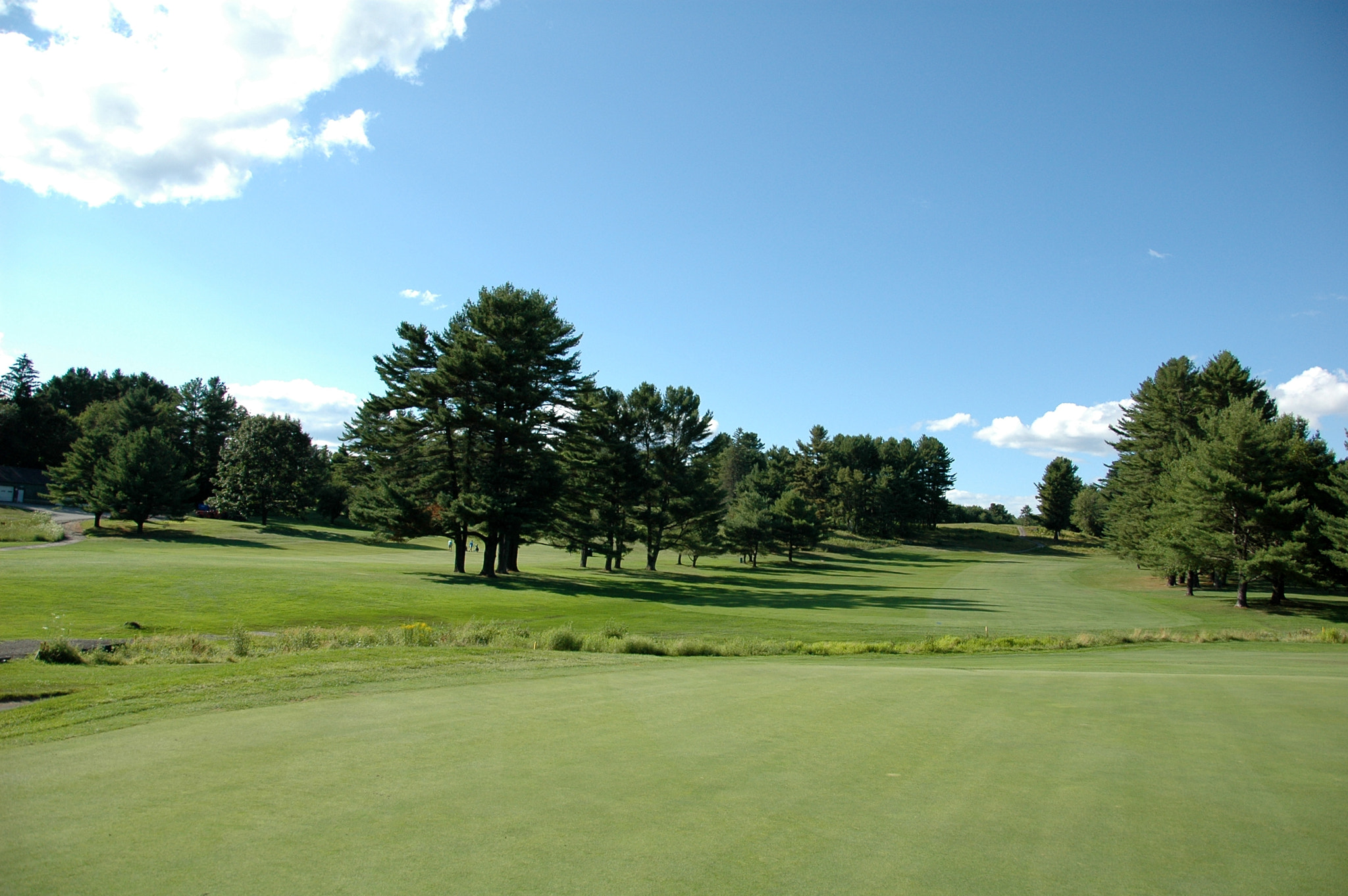 Nikon D70 sample photo. Golf course photography