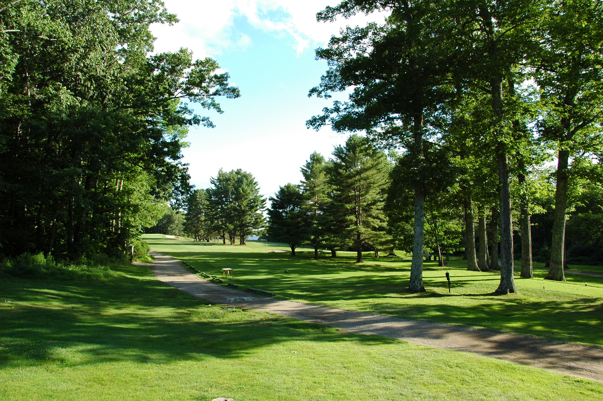 Nikon D70 sample photo. Golf photography