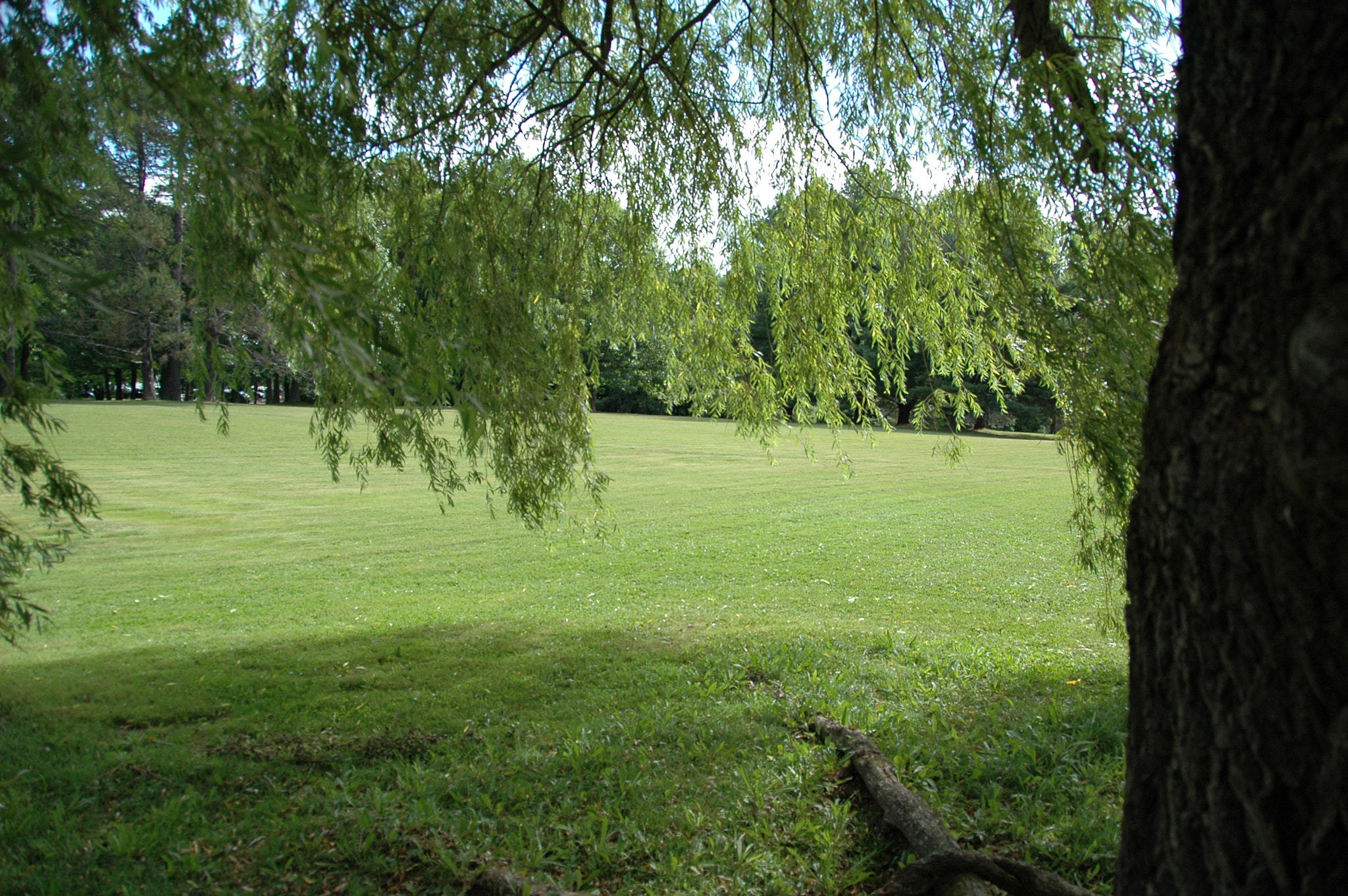 Nikon D70 sample photo. Nature photography