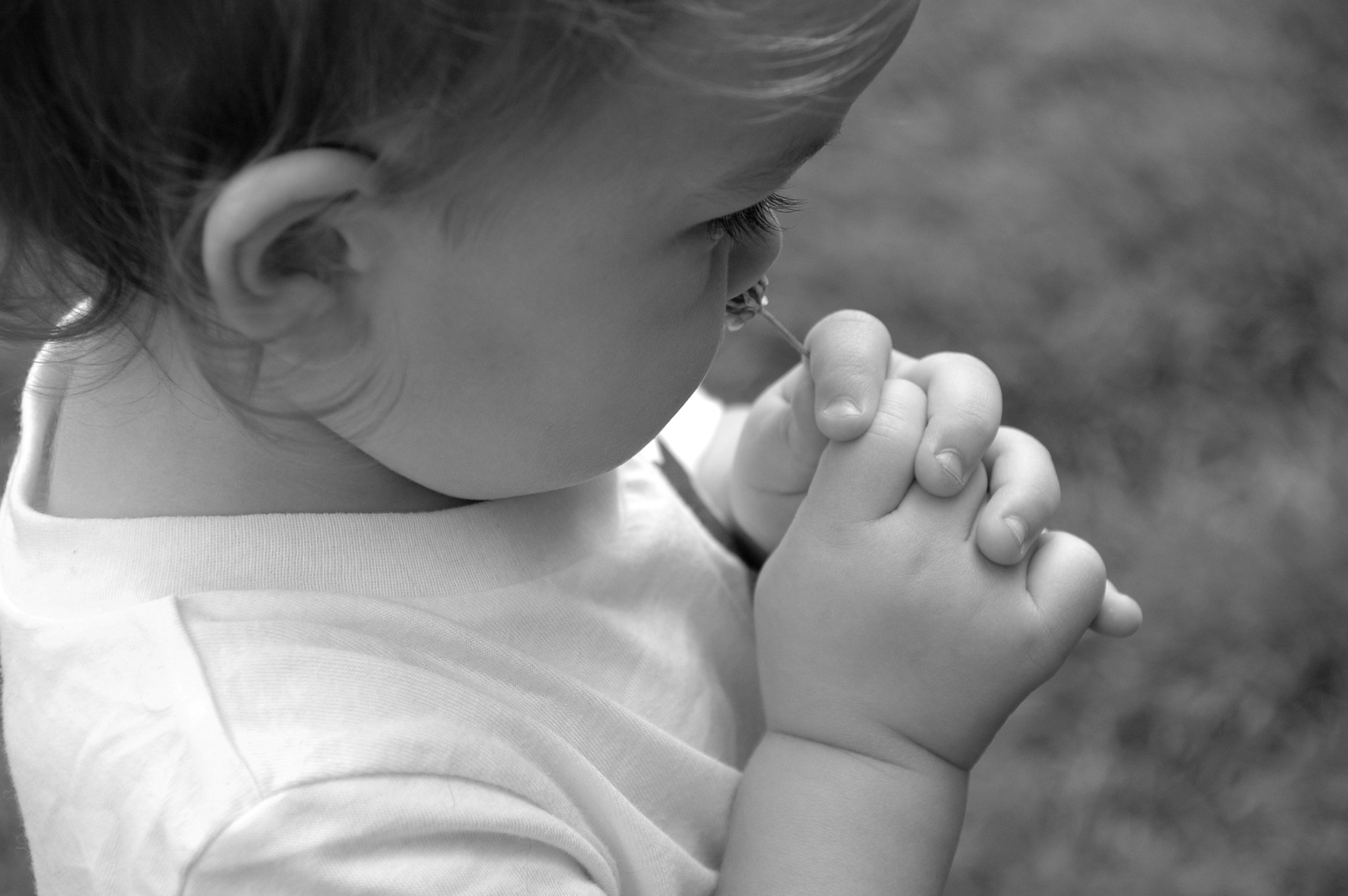 Nikon D70 sample photo. Child smelling flowers photography