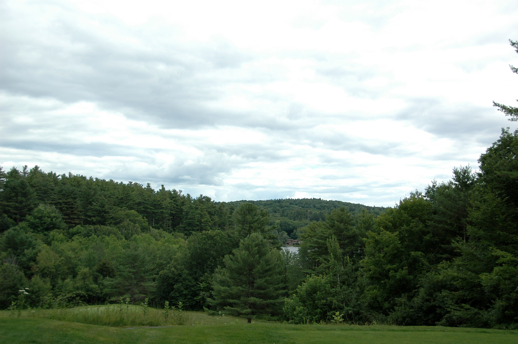 Nikon D70 sample photo. Golf course photography