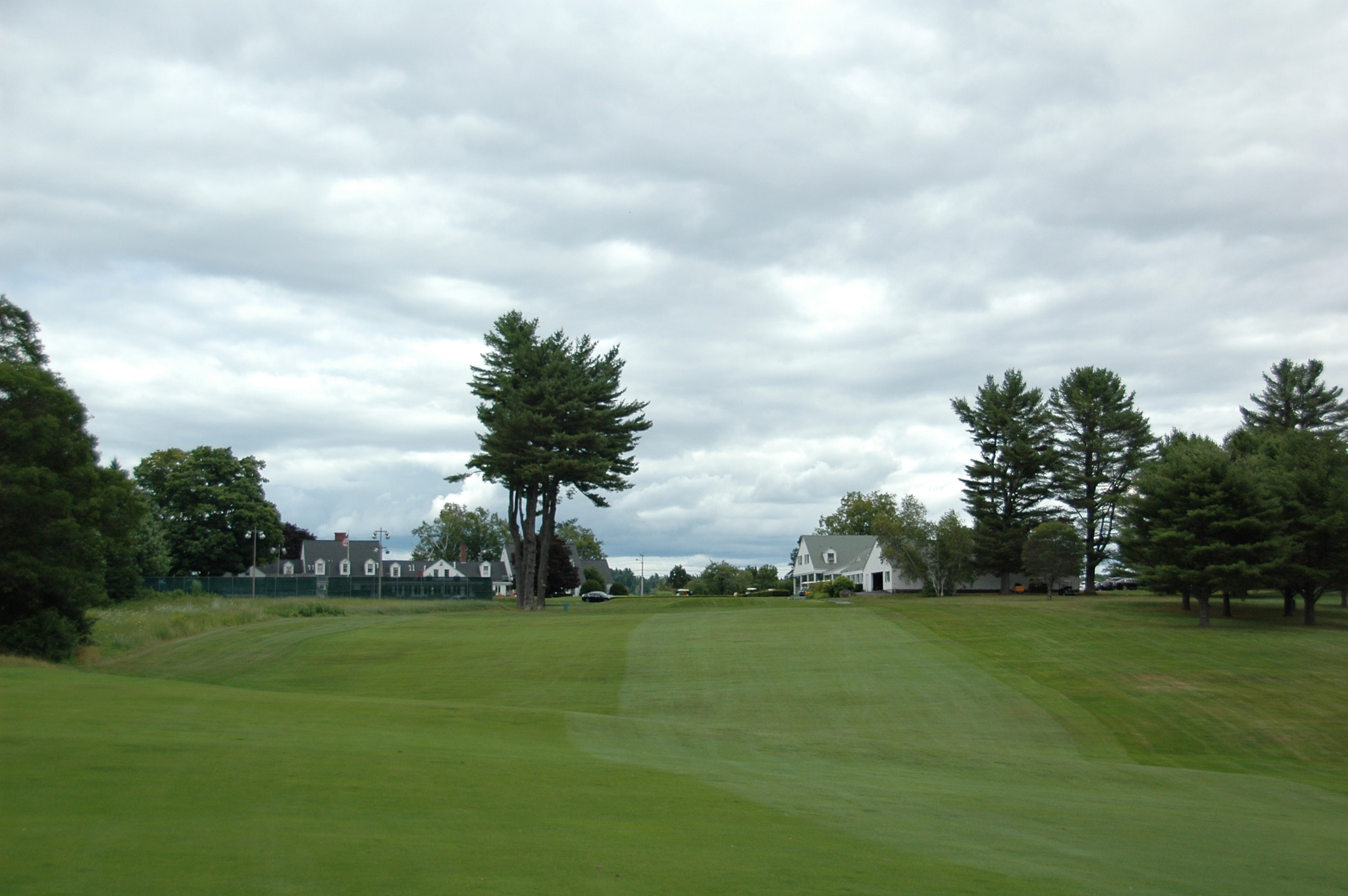 Nikon D70 sample photo. Golf course photography