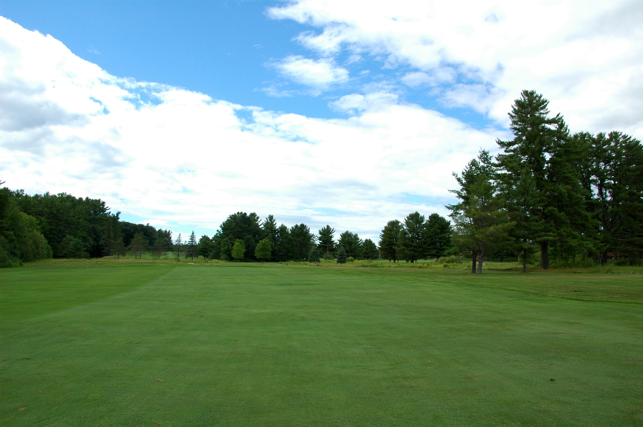 Nikon D70 sample photo. Golf course photography