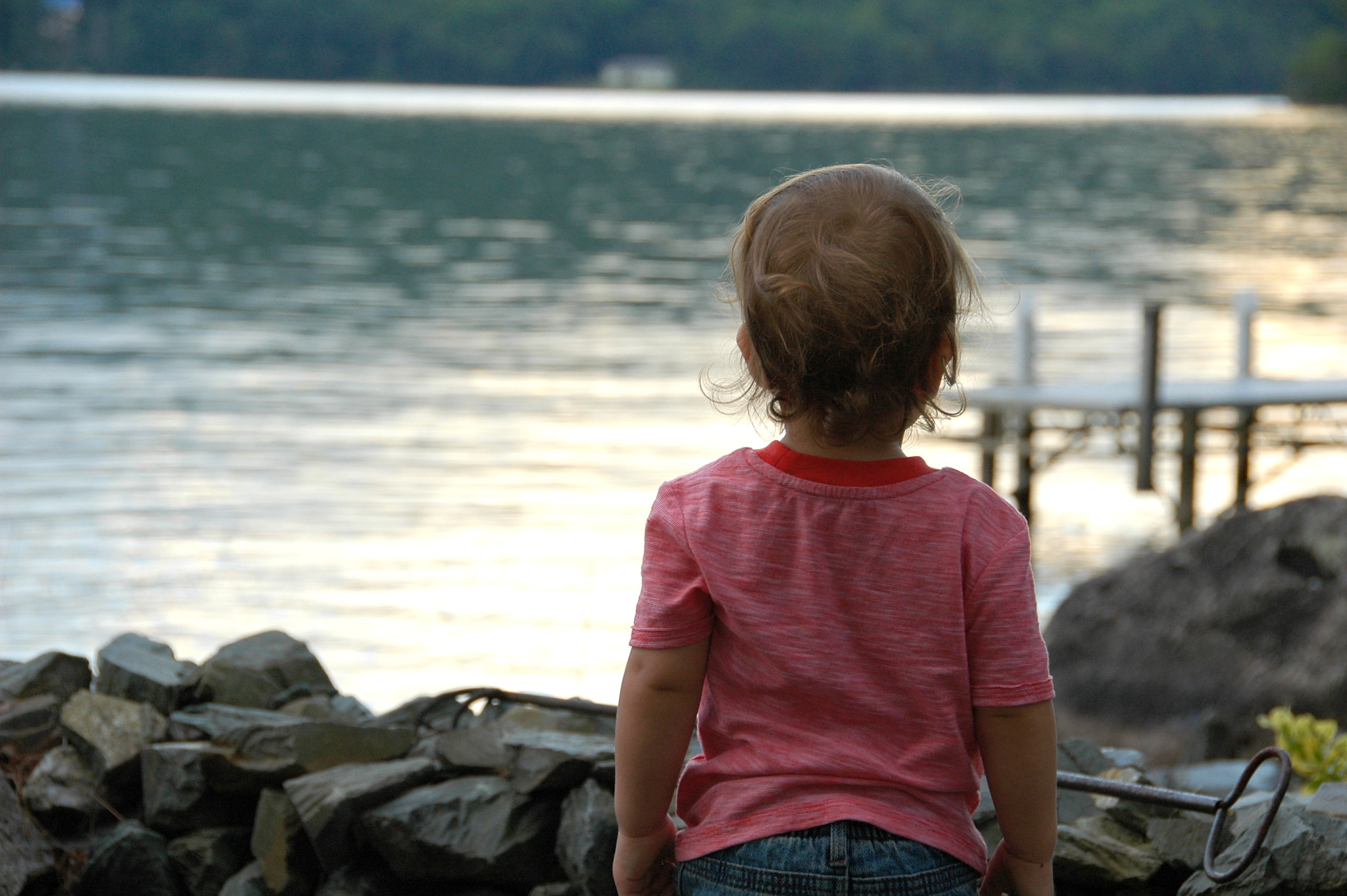 Nikon D70 sample photo. Enjoying the view photography