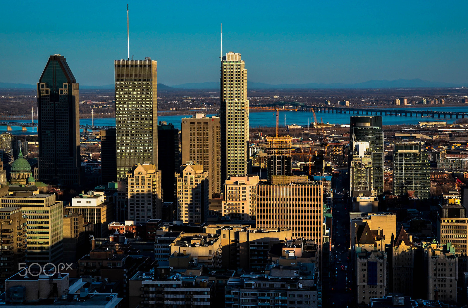 Nikon D3100 sample photo. Mont royal photography