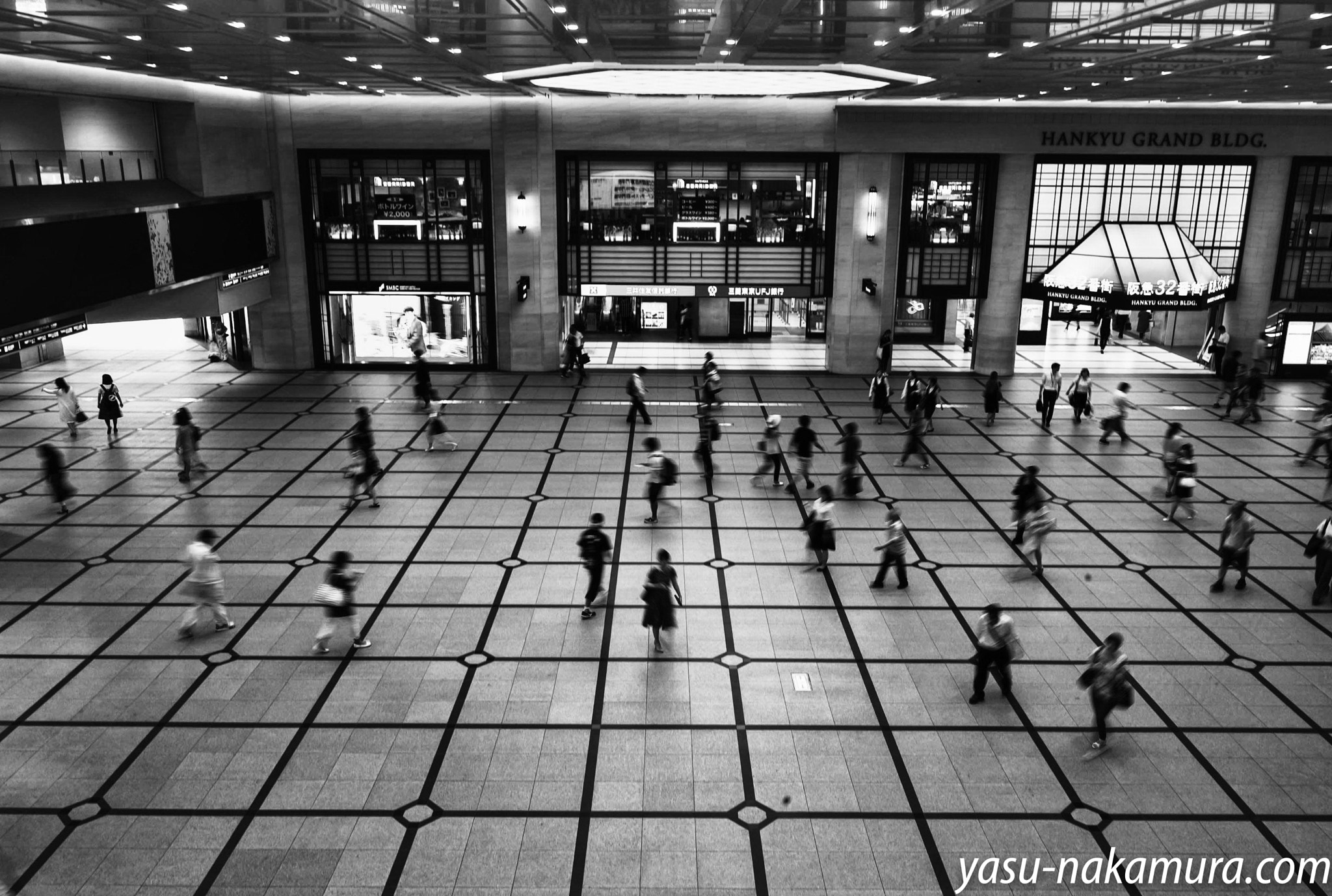 Leica M8 sample photo. Ants photography