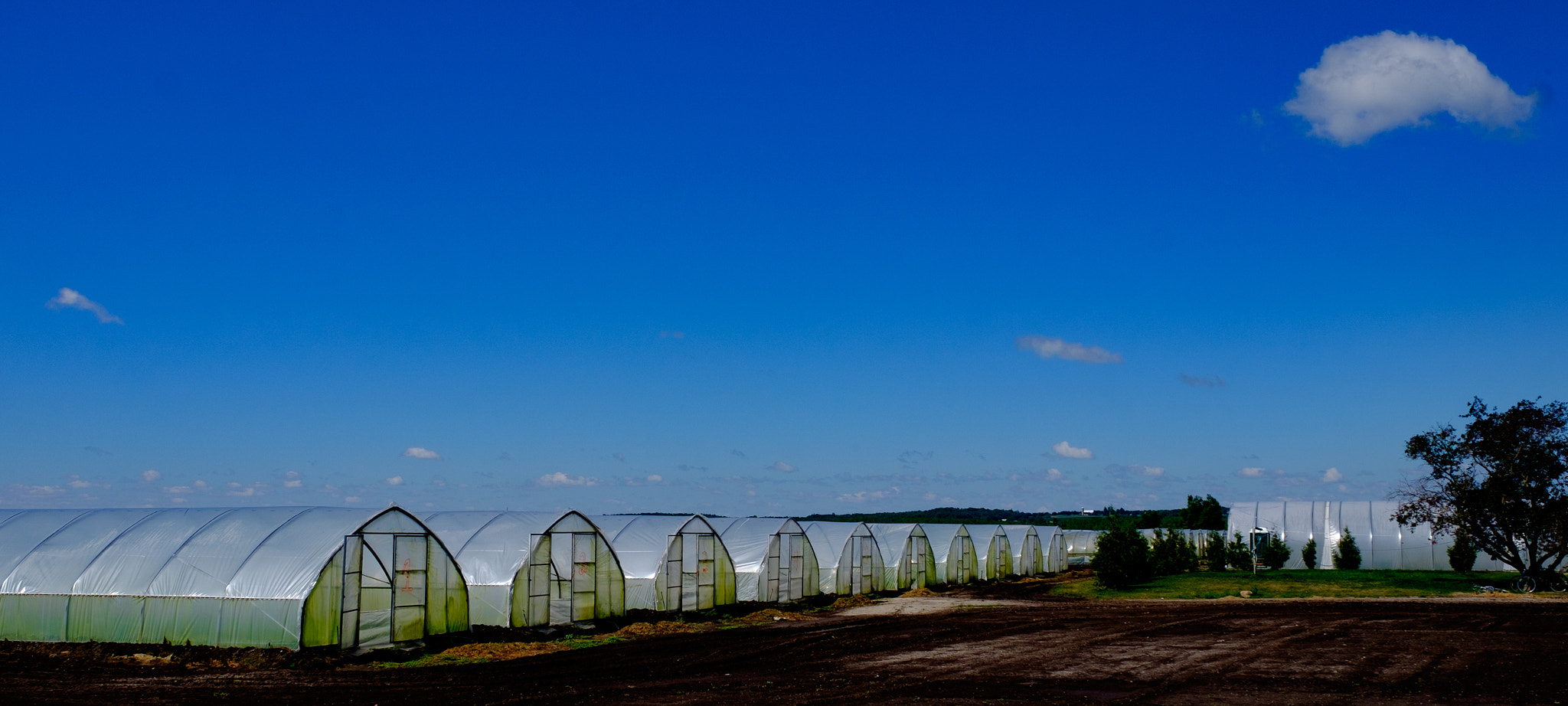 Fujifilm X-E2 + Fujifilm XF 16-55mm F2.8 R LM WR sample photo. Greenhouses photography