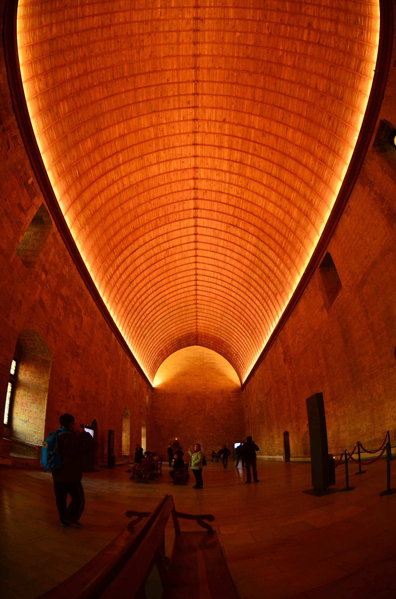Nikon AF DX Fisheye-Nikkor 10.5mm F2.8G ED sample photo. Ceiling photography
