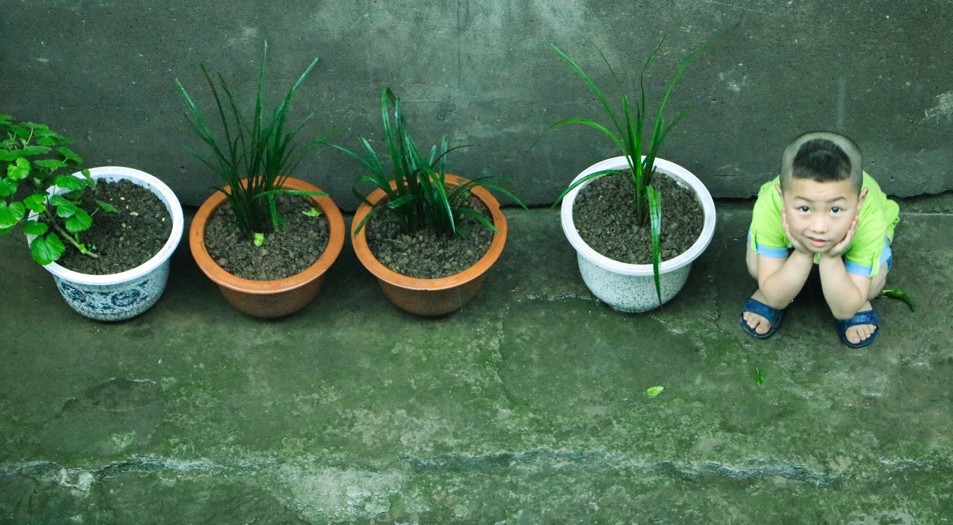 Canon EOS 760D (EOS Rebel T6s / EOS 8000D) sample photo. Five flowerpots photography