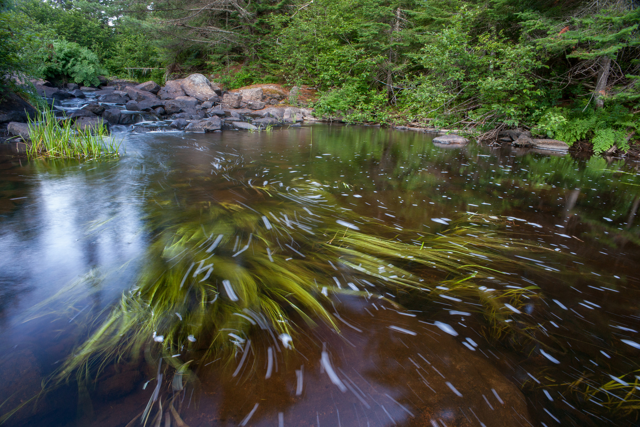 Sony Alpha DSLR-A900 + Sony 20mm F2.8 sample photo. Madawaska river photography