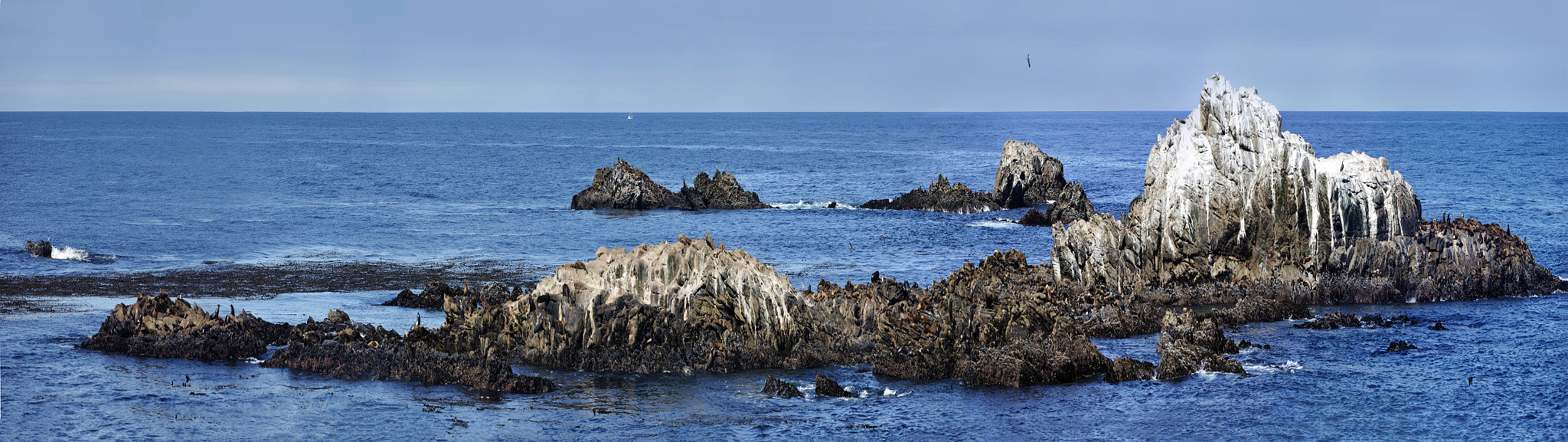 Nikon D700 + Nikon AF-S Nikkor 300mm F4D ED-IF sample photo. Point lobos seal island panor photography