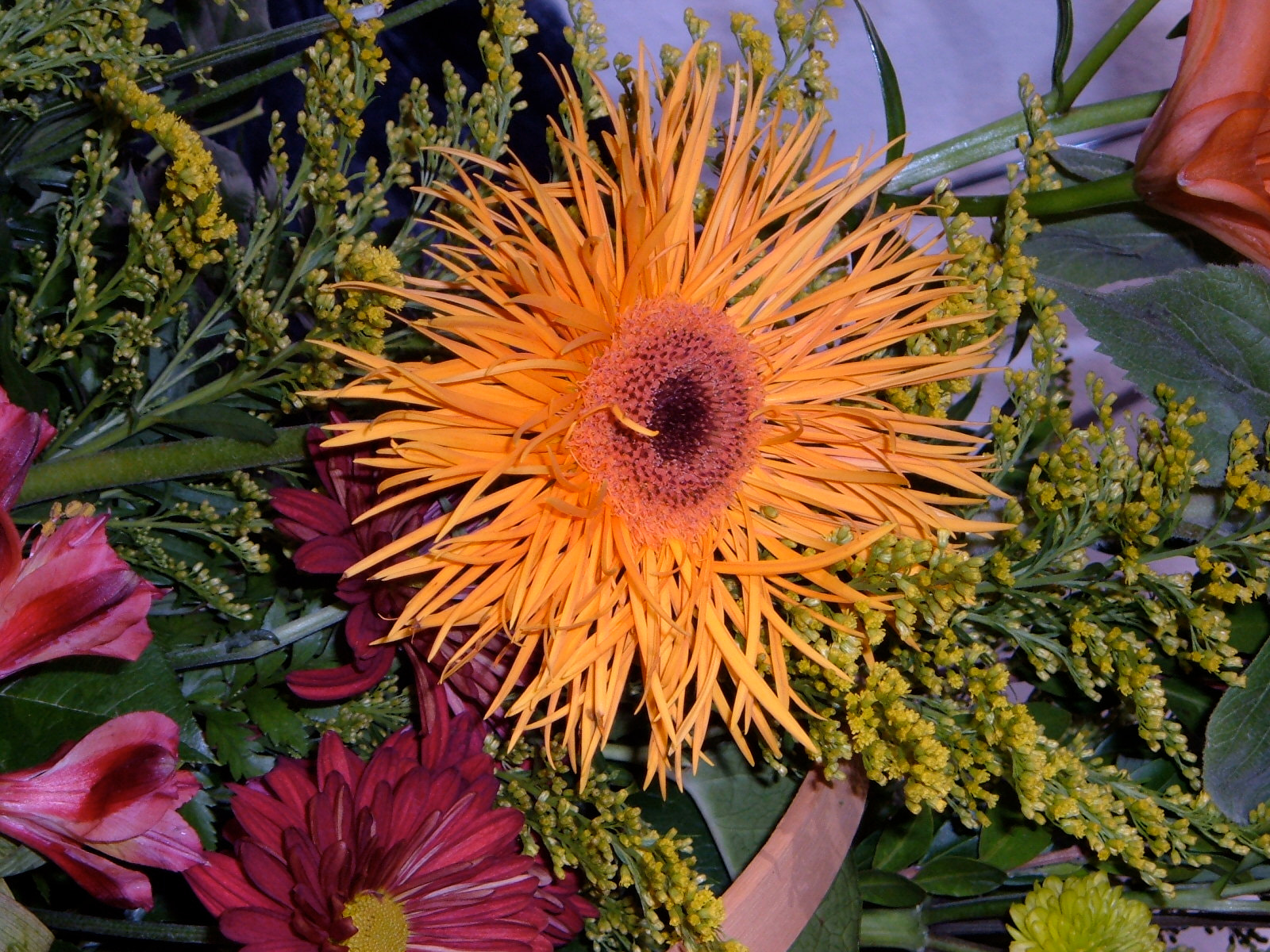 Fujifilm FinePix A340 sample photo. Orange flower - still life photography