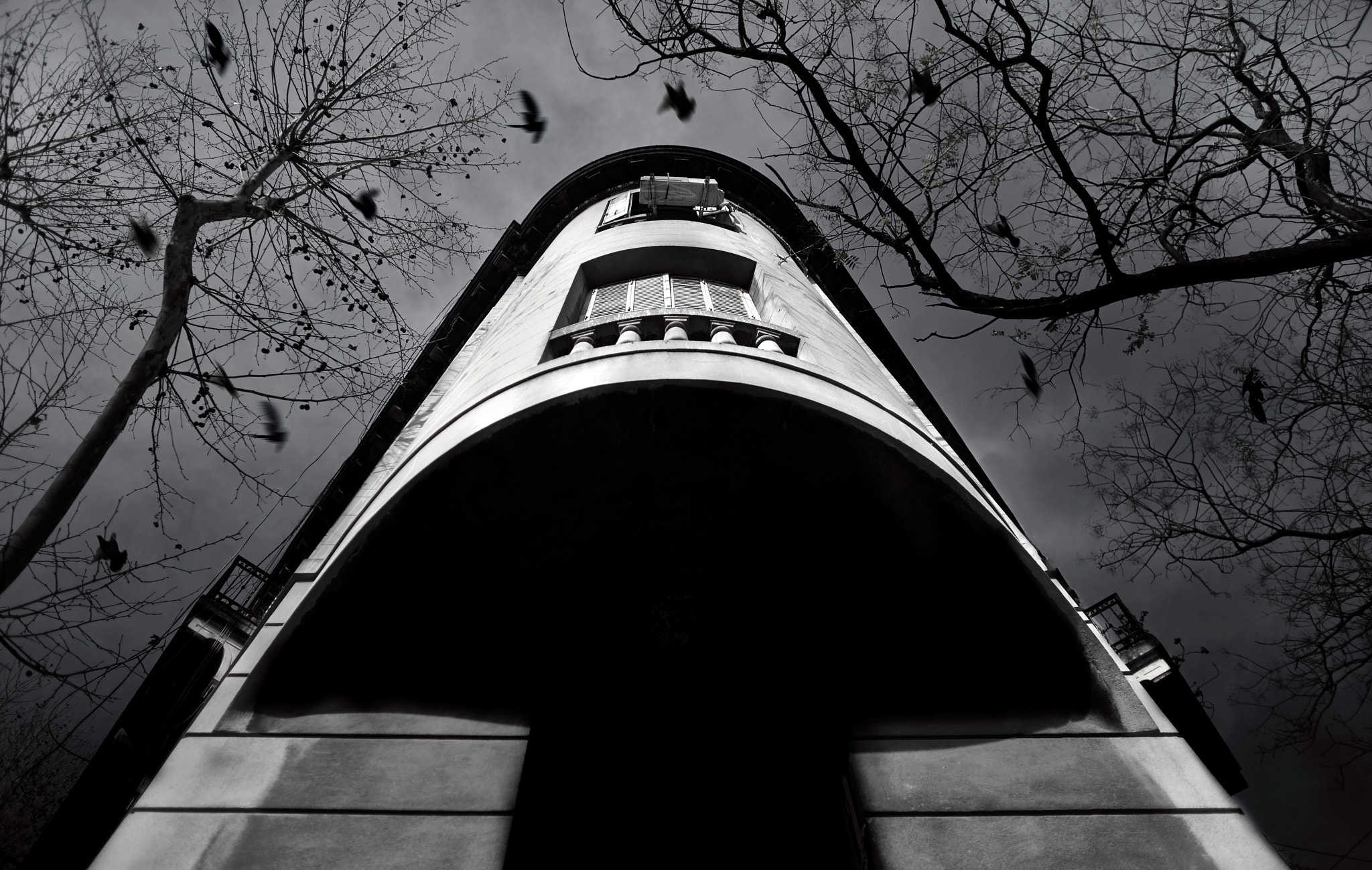 Metabones 24/1.4 sample photo. Edificio y palomas photography