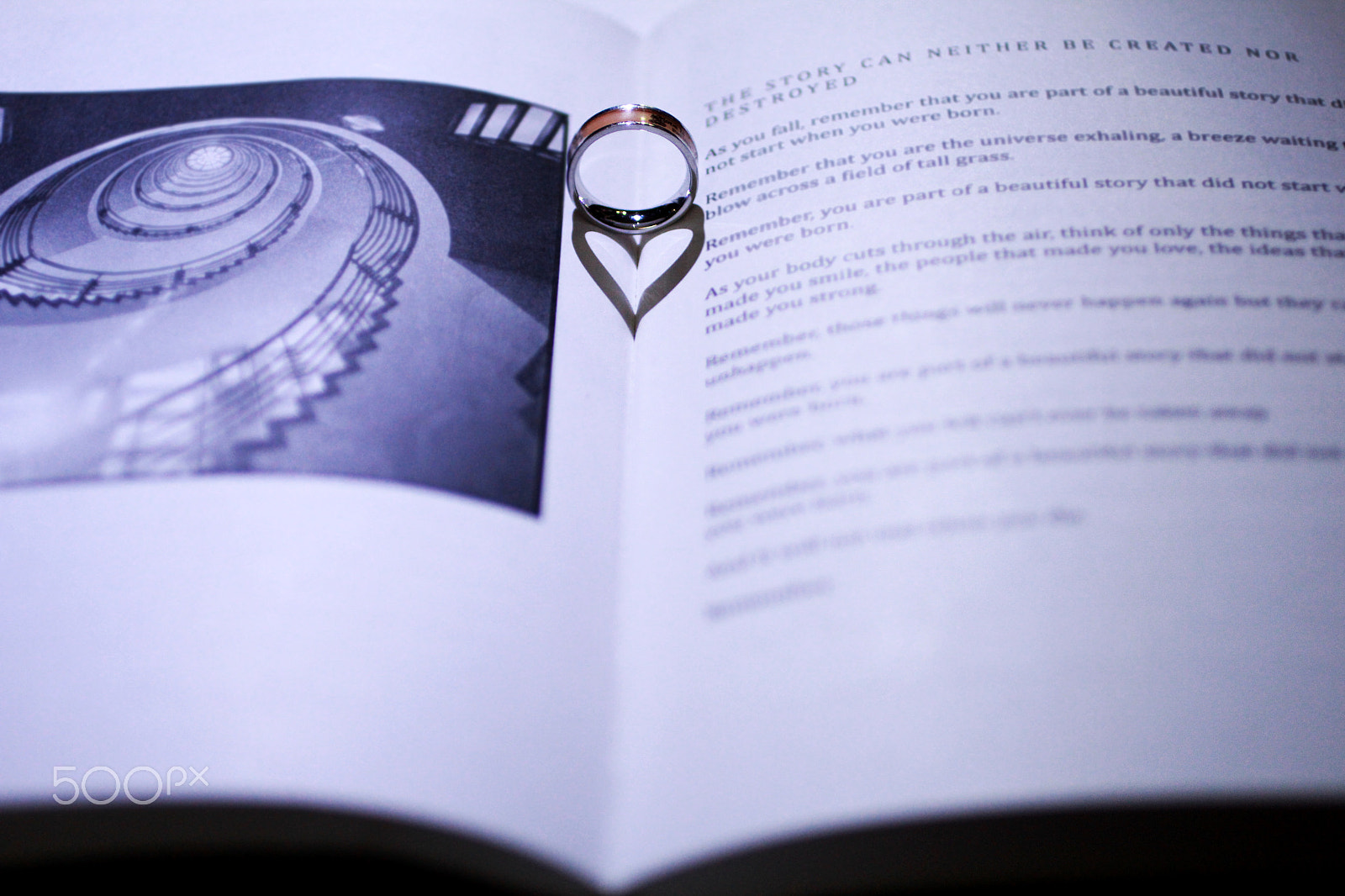 Canon EOS 60D + Canon EF 50mm F2.5 Macro sample photo. Book&ring photography