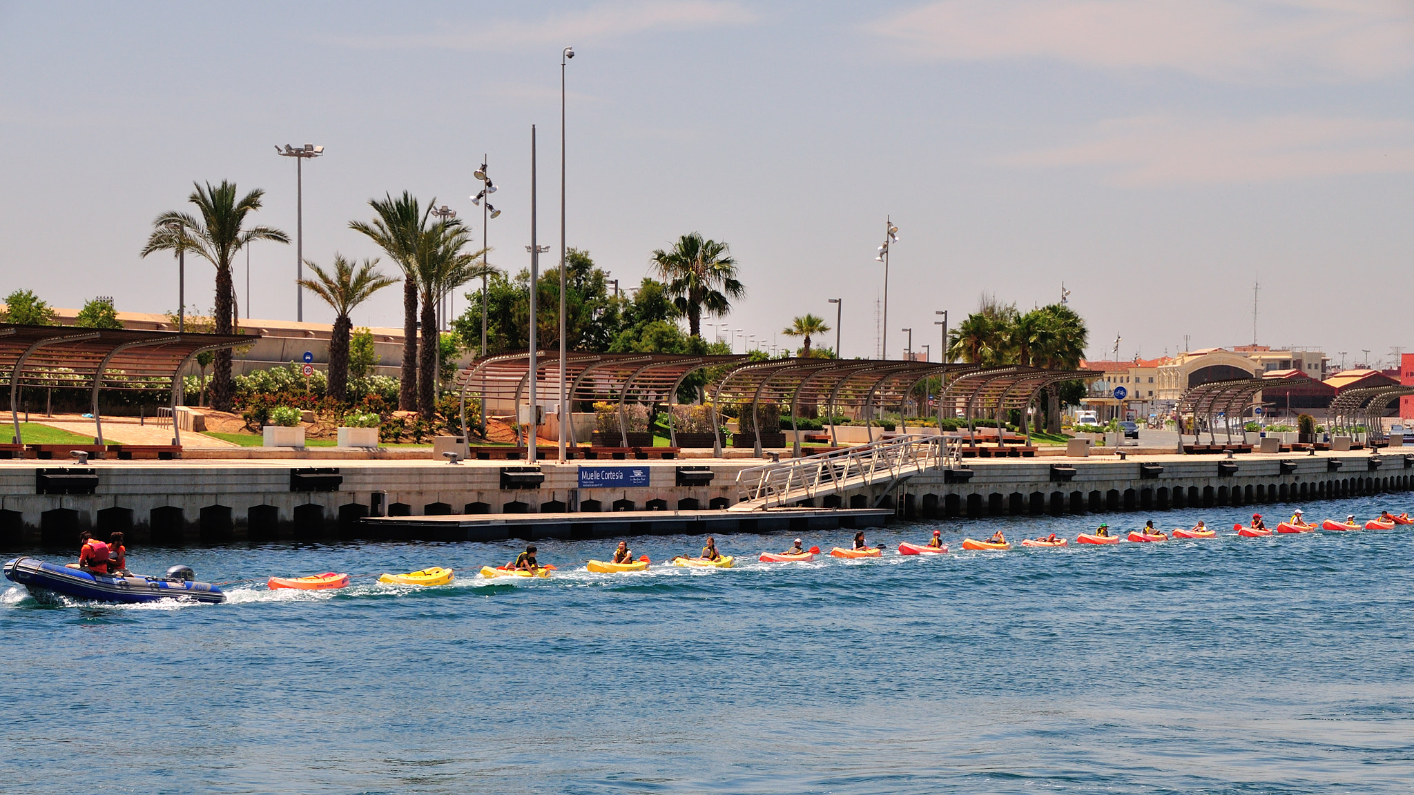 Sigma 18-250mm F3.5-6.3 DC Macro OS HSM sample photo. The colourful sea train photography