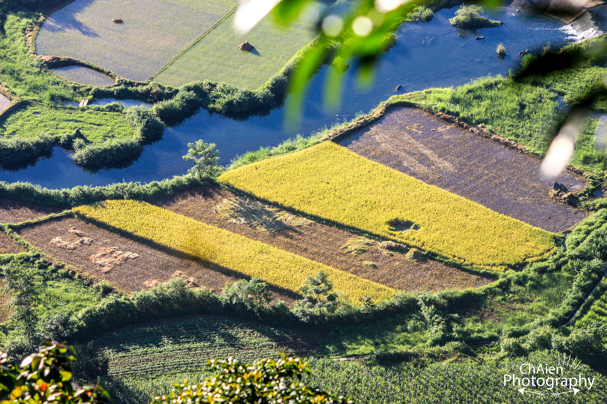 Canon EOS 500D (EOS Rebel T1i / EOS Kiss X3) sample photo. Harvest season photography