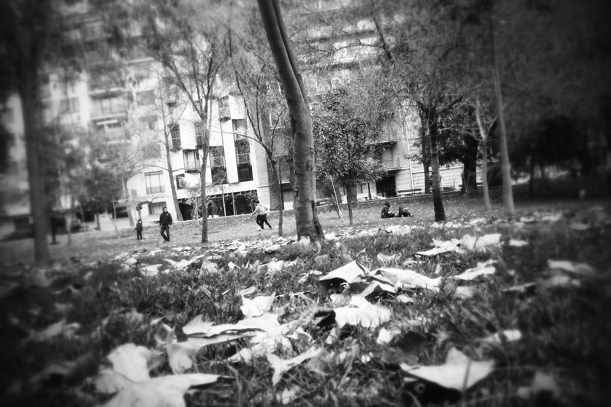 Motorola RAZR D1 sample photo. Plazas de julio photography
