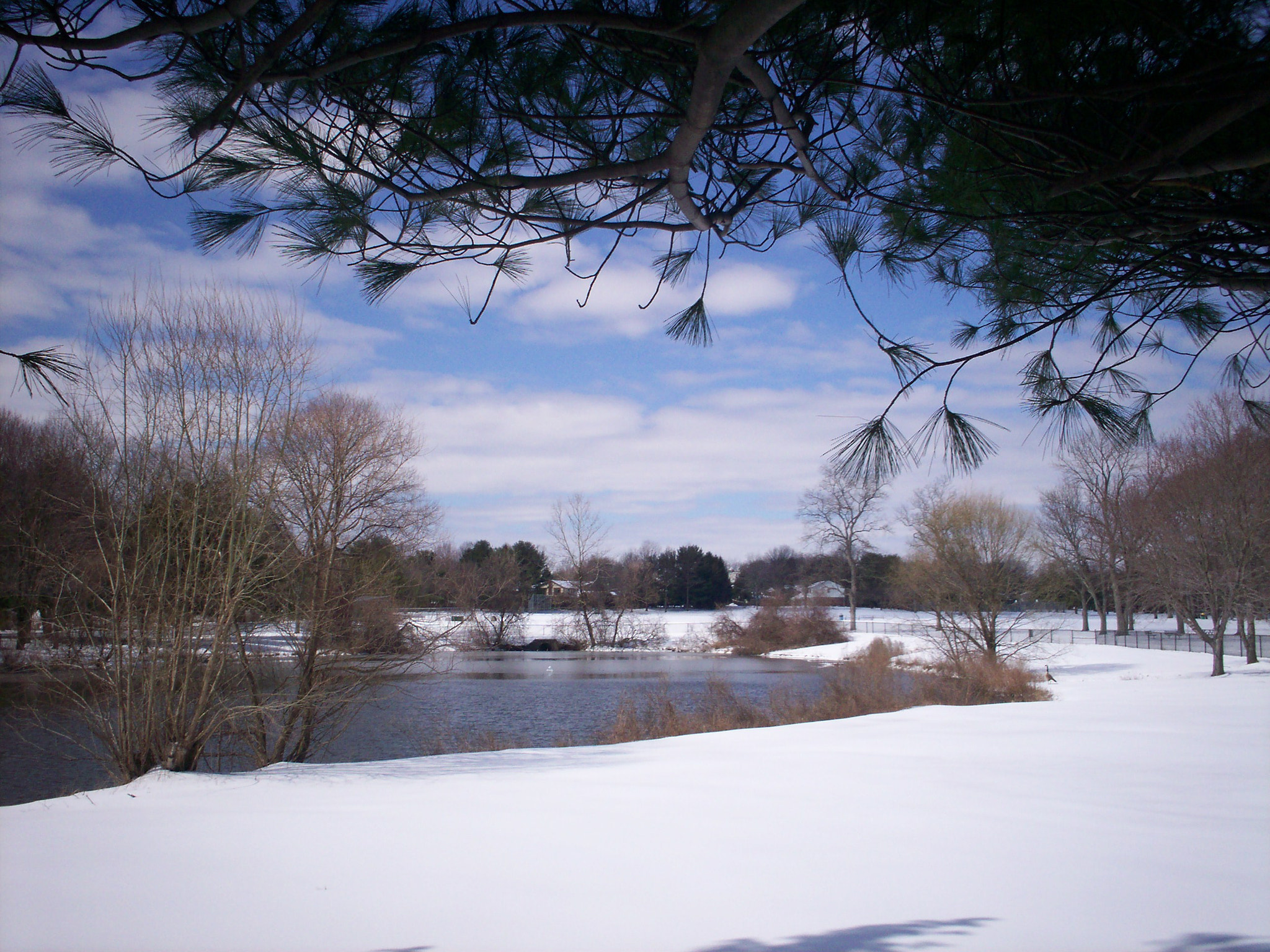 Kodak EASYSHARE C315 DIGITAL CAMERA sample photo. Snowy pond photography