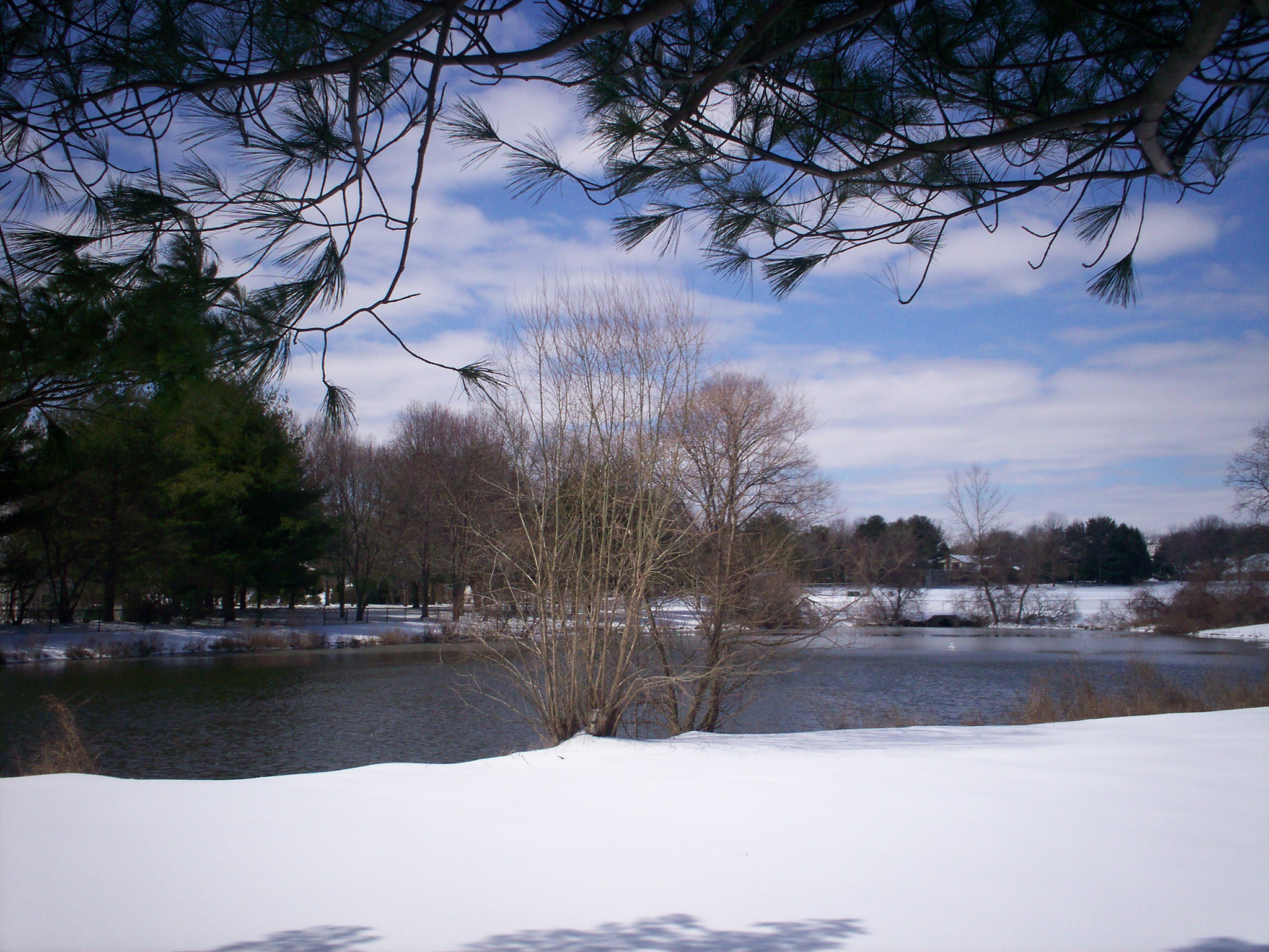 Kodak EASYSHARE C315 DIGITAL CAMERA sample photo. Snowy pond 1 photography