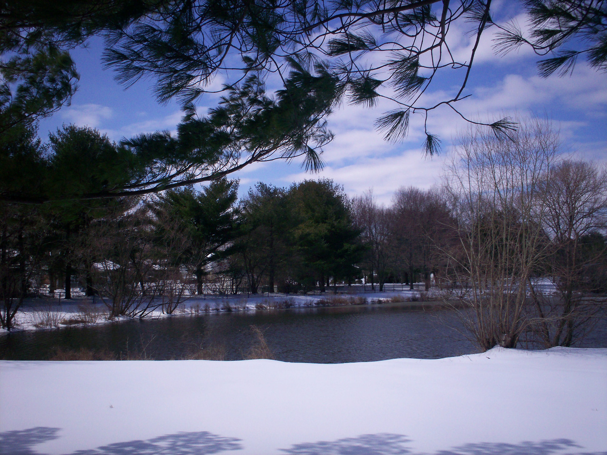 Kodak EASYSHARE C315 DIGITAL CAMERA sample photo. Snowy pond 2 photography