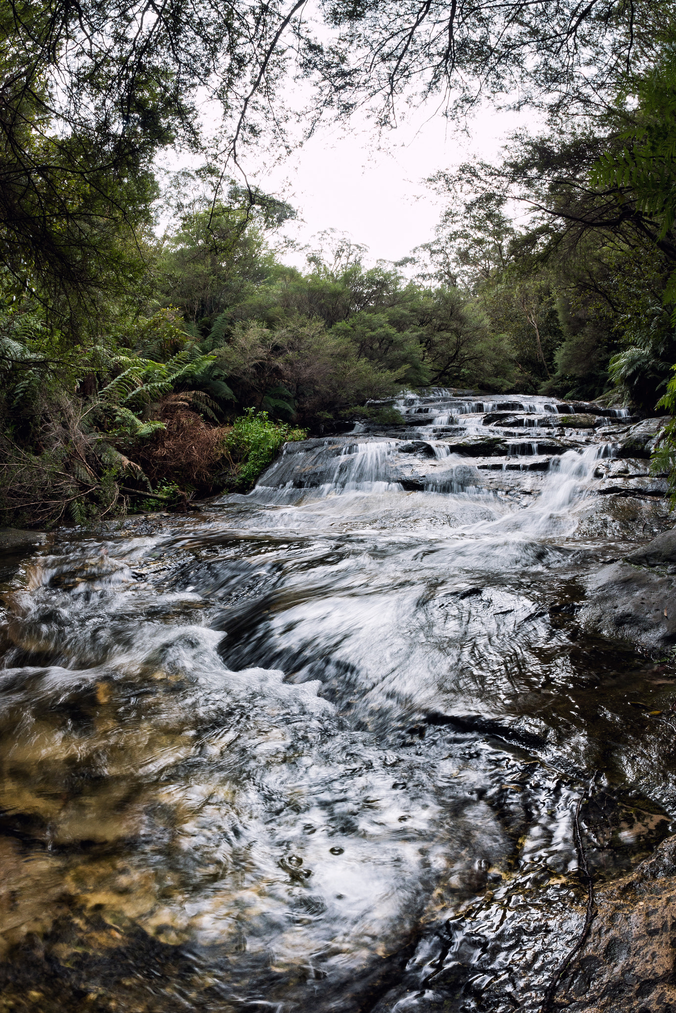 Panasonic Lumix DMC-GX8 + OLYMPUS M.8mm F1.8 sample photo. Blue mountains leura cascades photography