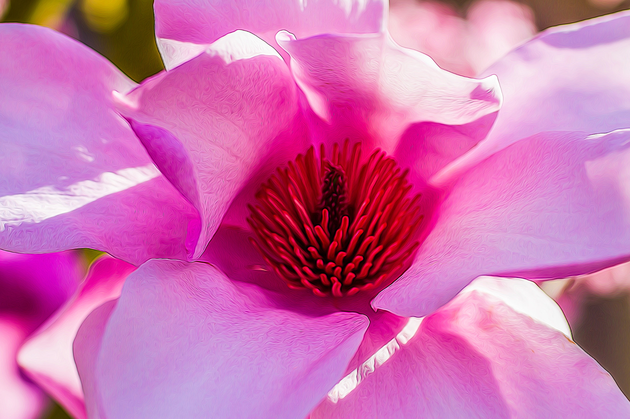 Canon EF 50mm F2.5 Macro sample photo. Pretty in pink photography