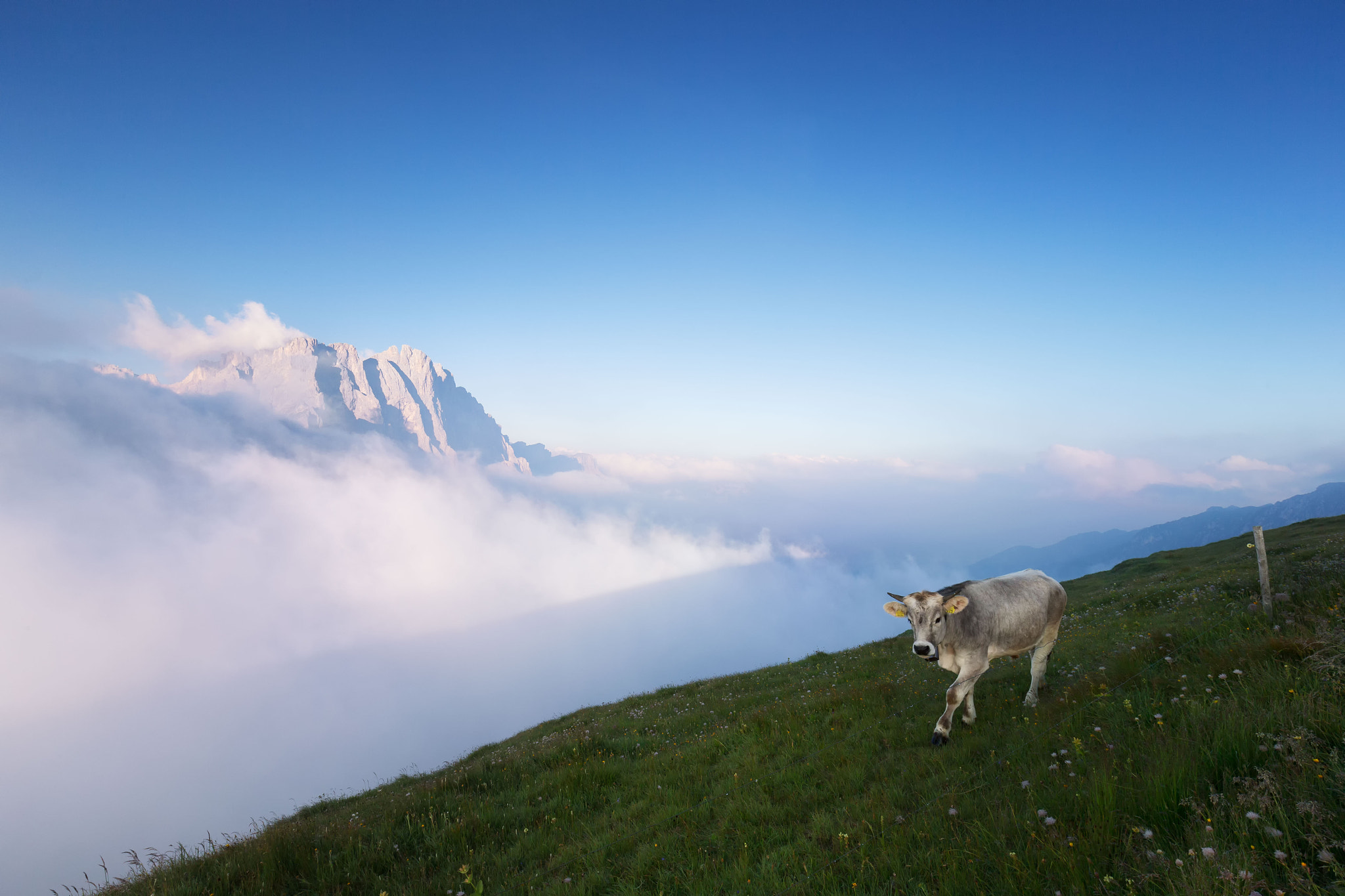 Canon EOS-1D X + Canon EF 16-35mm F4L IS USM sample photo. Nebbia sulle odle photography