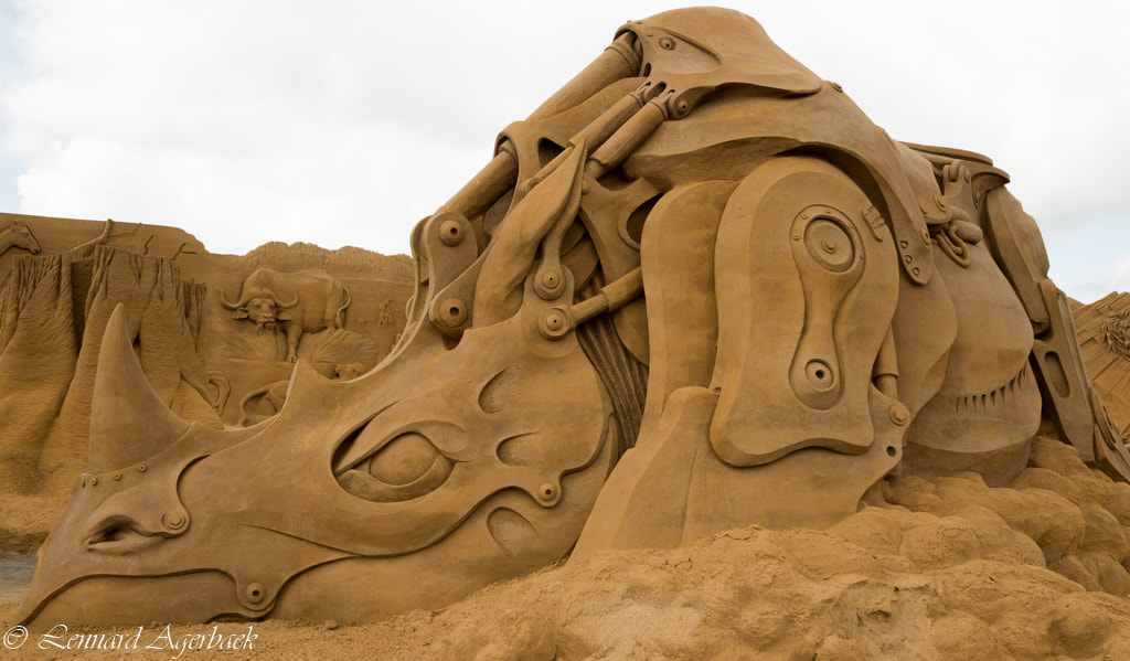 Nikon D800 + Samyang 35mm F1.4 AS UMC sample photo. Sand rhino photography