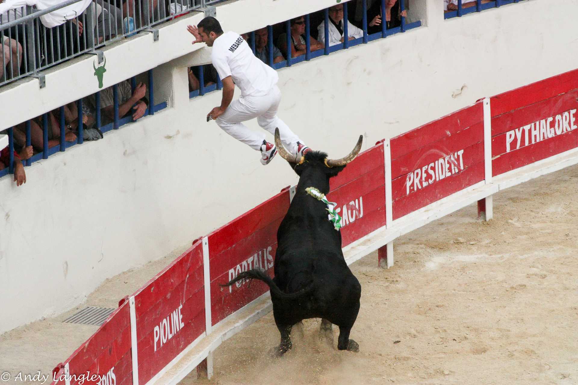 Canon EF 75-300mm f/4-5.6 USM sample photo. Bull racing in the camargue, a more humane sport photography