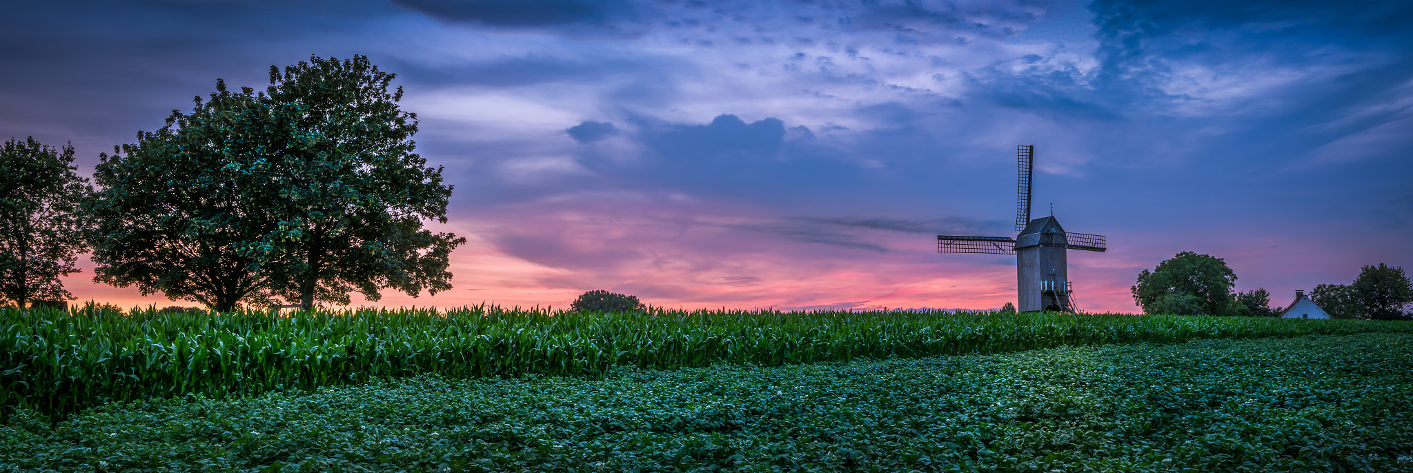 Pentax K-5 sample photo. Schietsjampettermolen photography