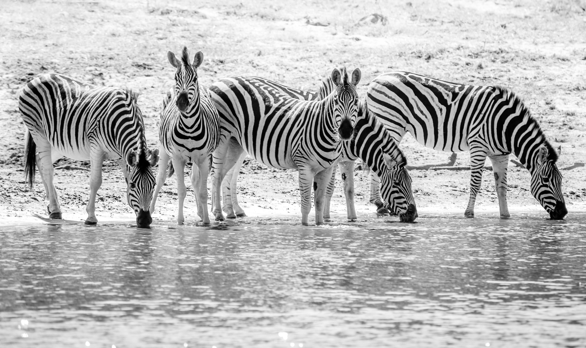 Nikon D600 sample photo. Full house photography